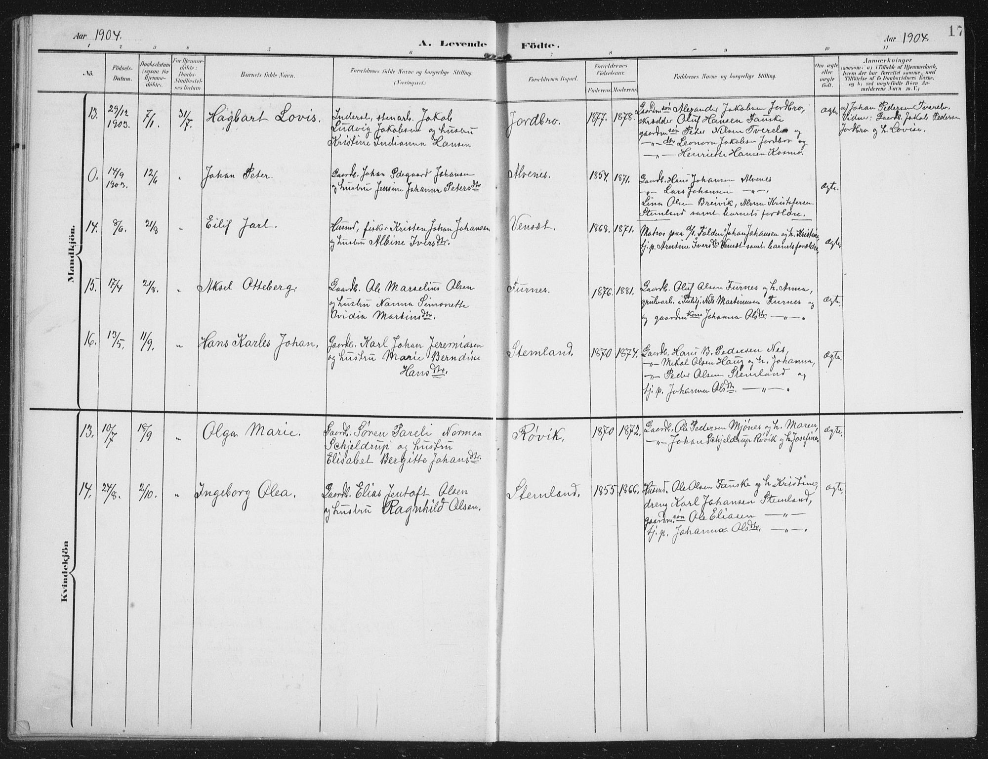 Ministerialprotokoller, klokkerbøker og fødselsregistre - Nordland, AV/SAT-A-1459/851/L0726: Parish register (copy) no. 851C01, 1902-1924, p. 17