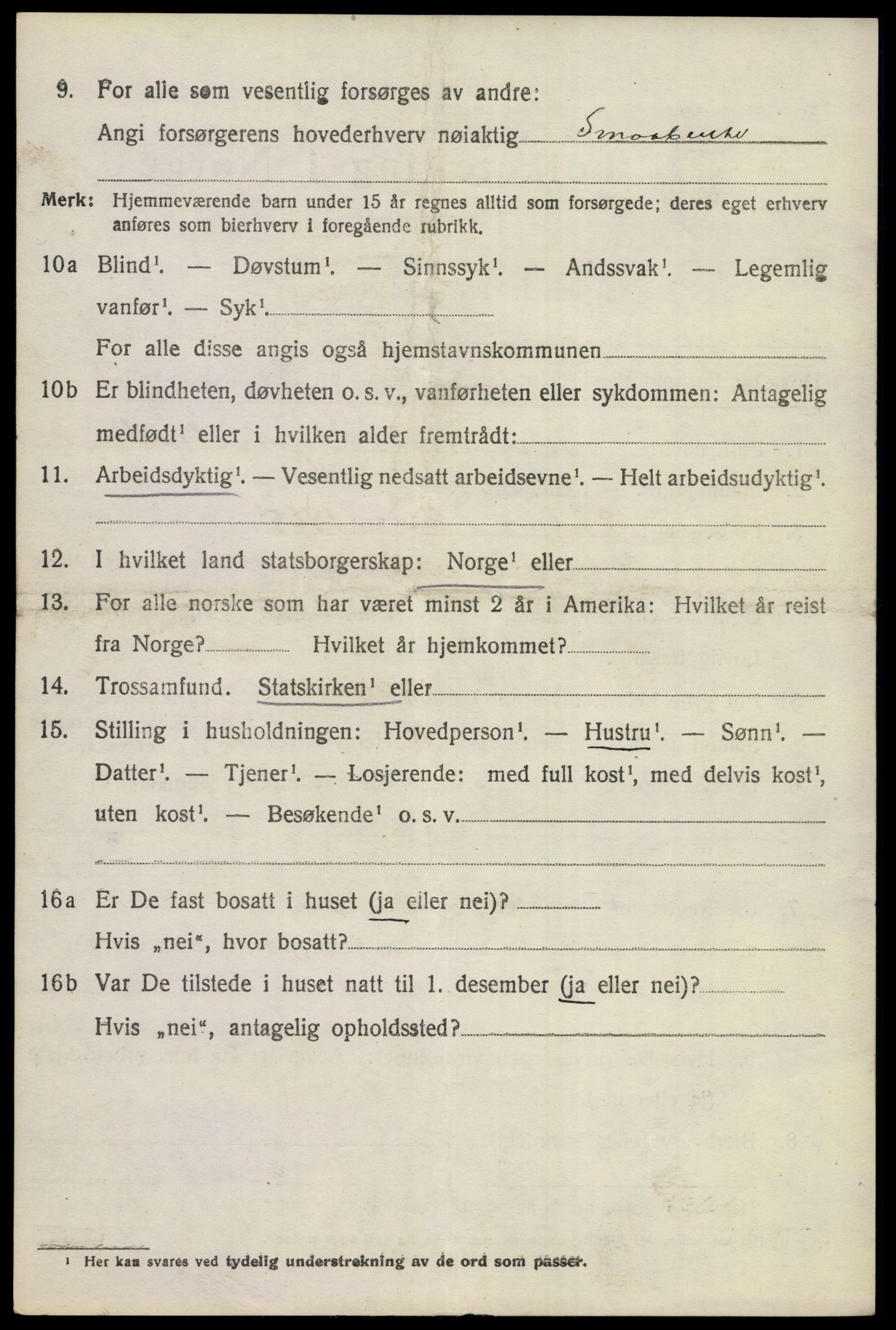 SAKO, 1920 census for Nes (Buskerud), 1920, p. 1619