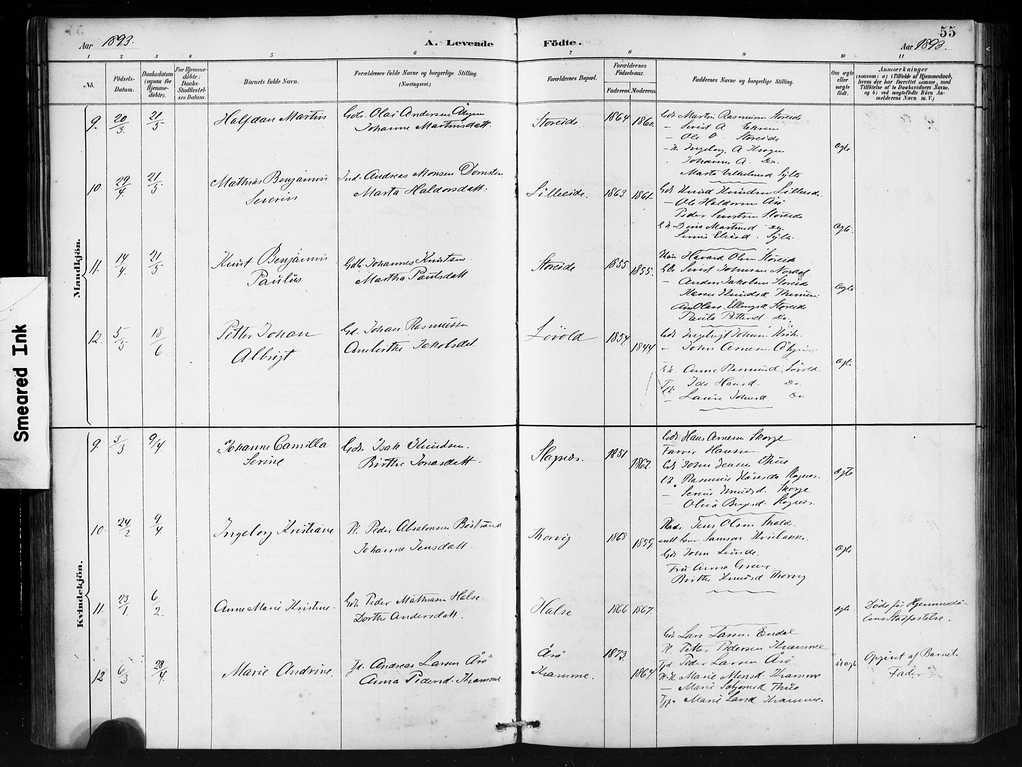 Ministerialprotokoller, klokkerbøker og fødselsregistre - Møre og Romsdal, AV/SAT-A-1454/501/L0008: Parish register (official) no. 501A08, 1885-1901, p. 55