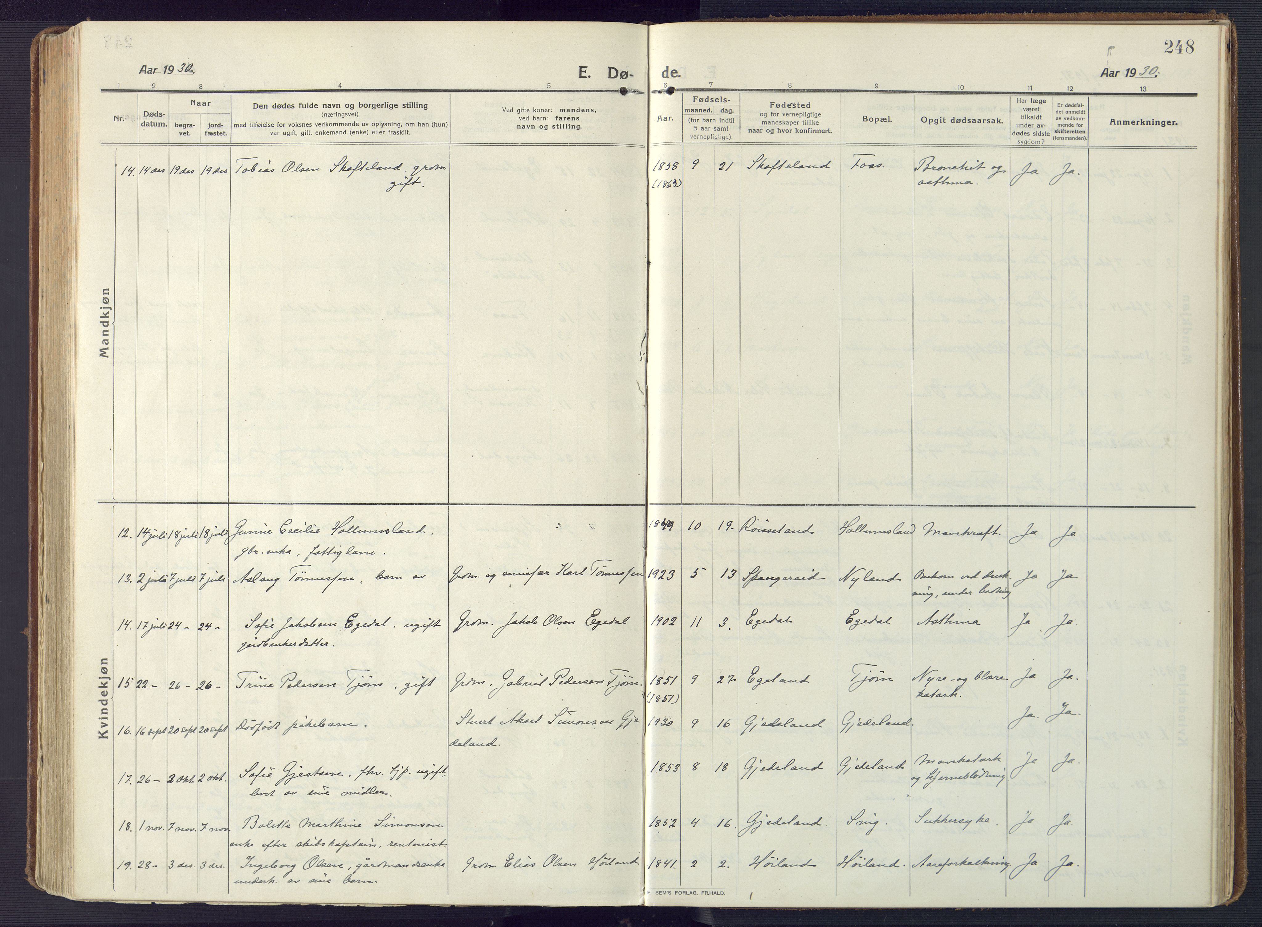 Sør-Audnedal sokneprestkontor, SAK/1111-0039/F/Fa/Fab/L0011: Parish register (official) no. A 11, 1912-1938, p. 248