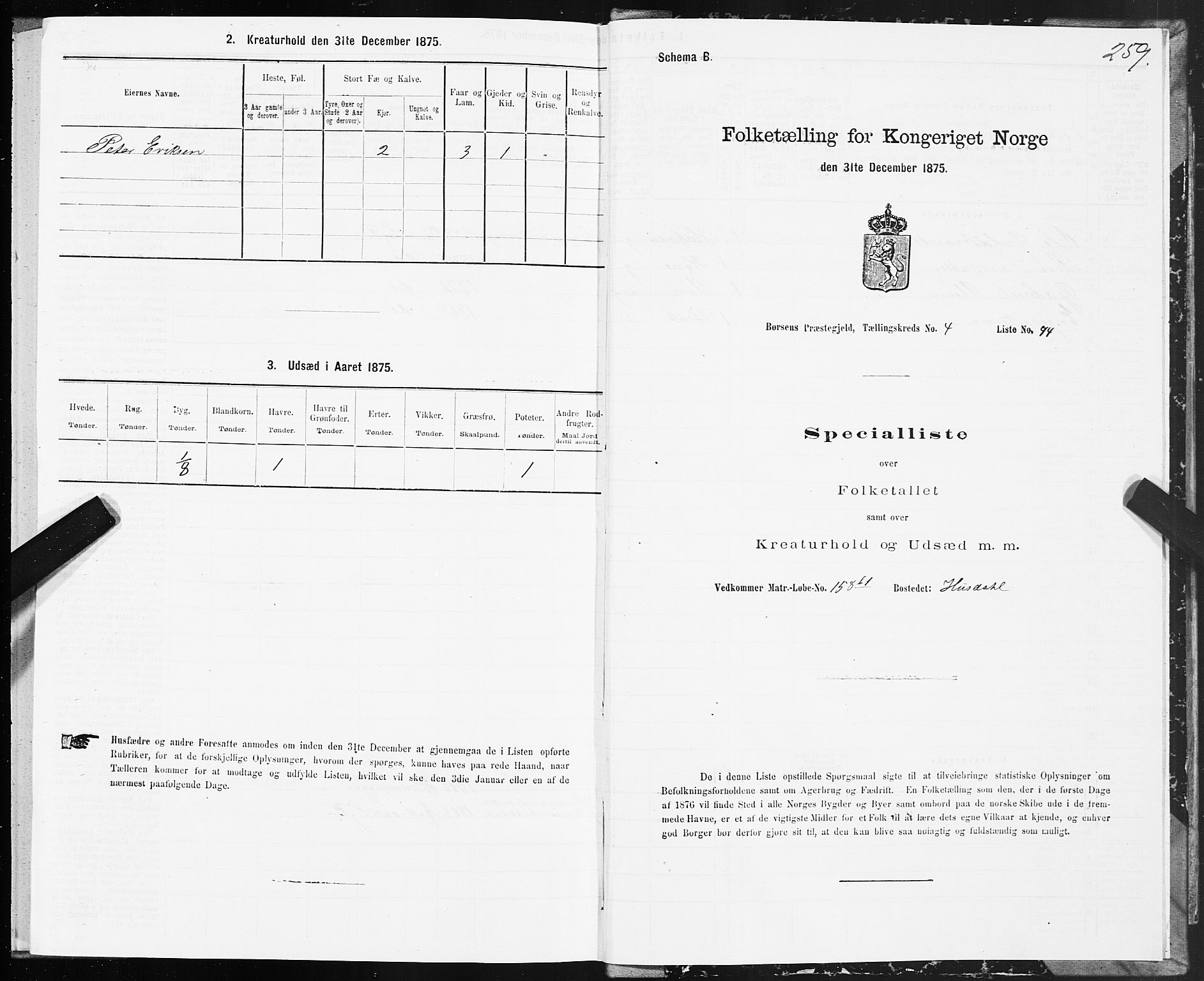 SAT, 1875 census for 1658P Børsa, 1875, p. 3259