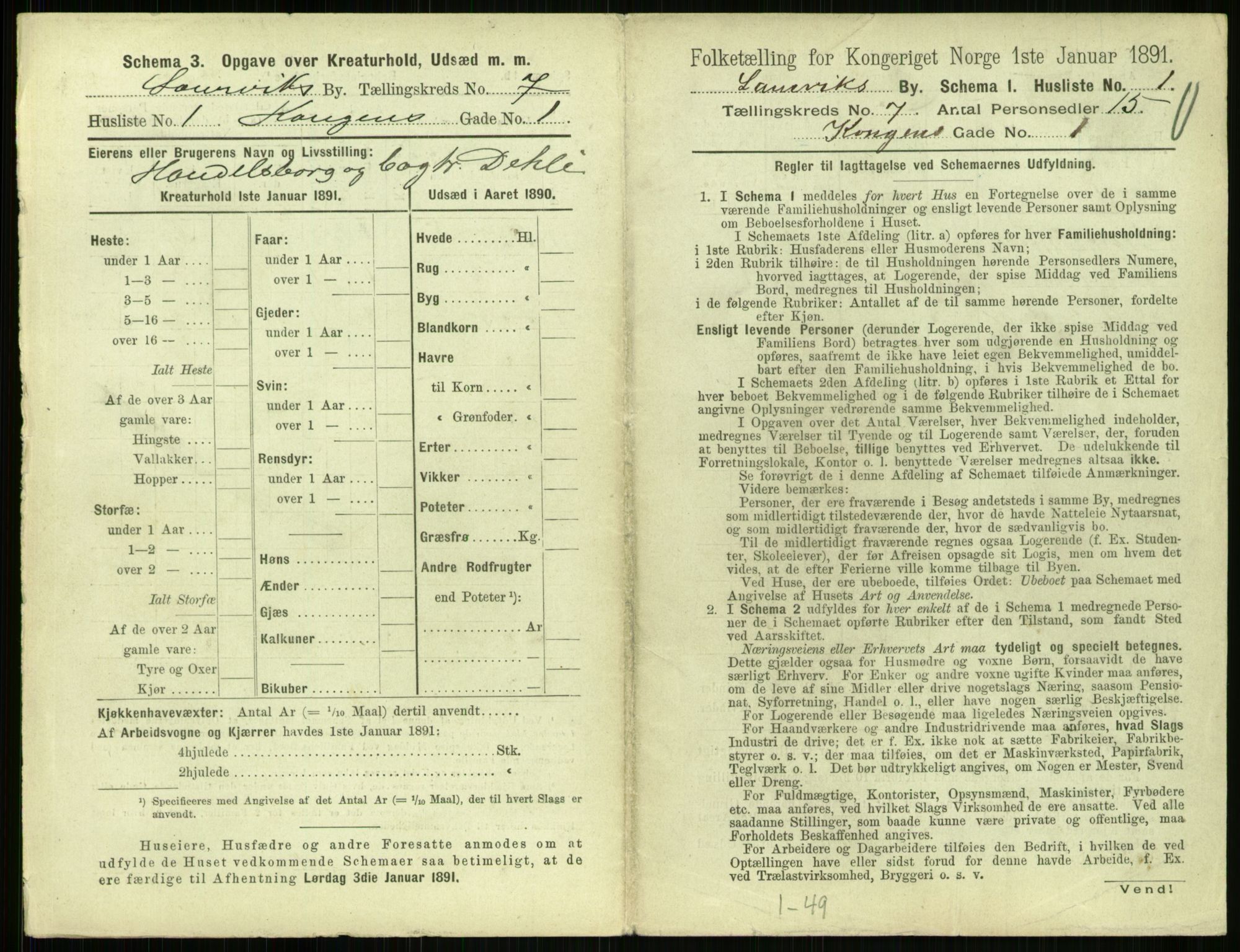 RA, 1891 census for 0707 Larvik, 1891, p. 907