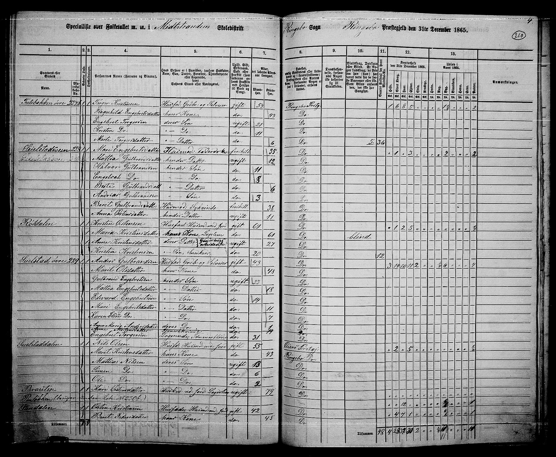 RA, 1865 census for Ringebu, 1865, p. 183