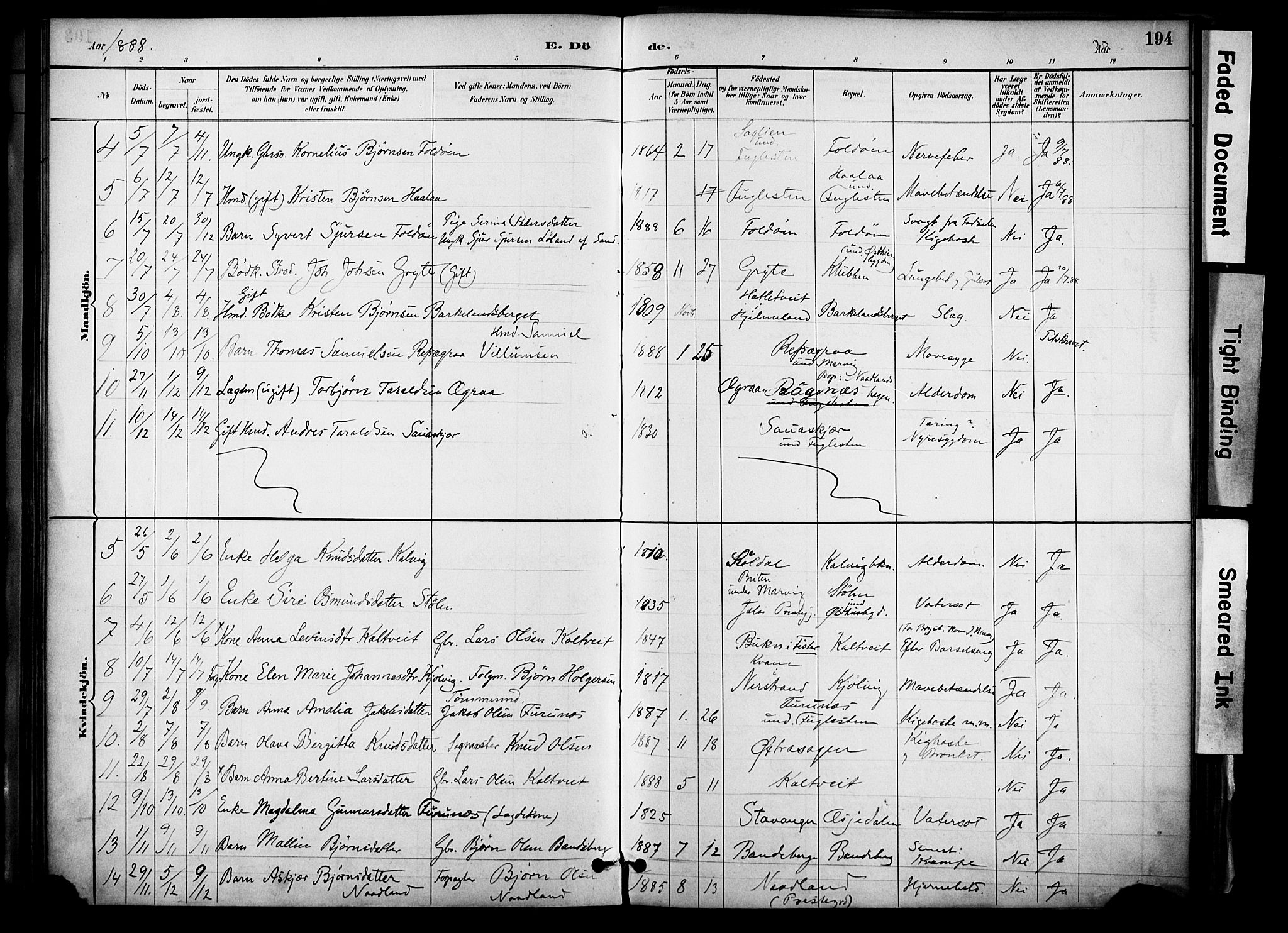 Jelsa sokneprestkontor, AV/SAST-A-101842/01/IV: Parish register (official) no. A 10, 1884-1906, p. 194