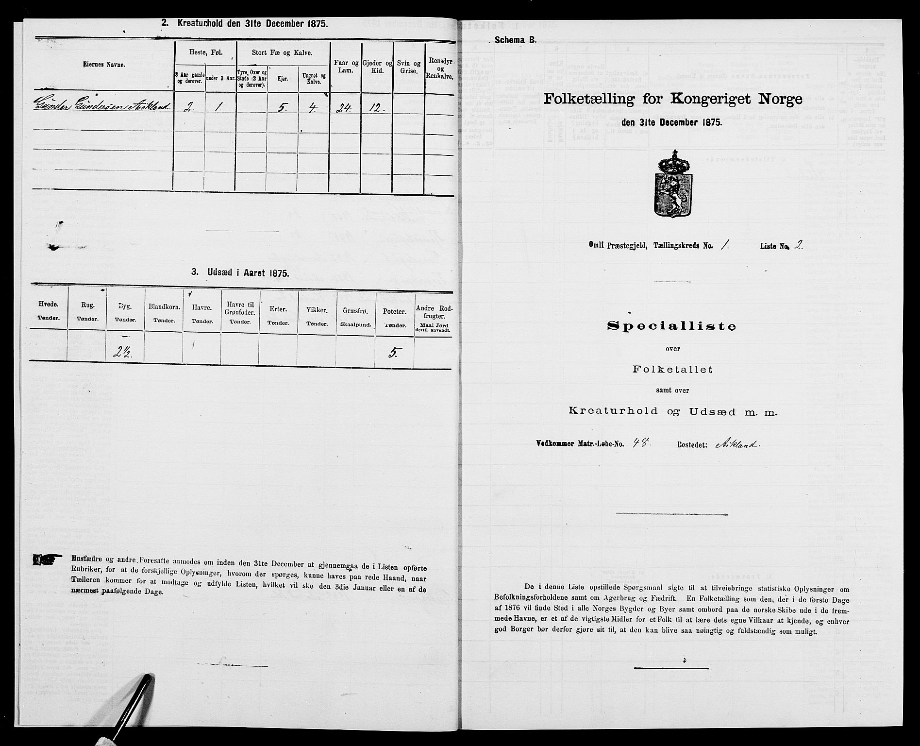 SAK, 1875 census for 0929P Åmli, 1875, p. 43