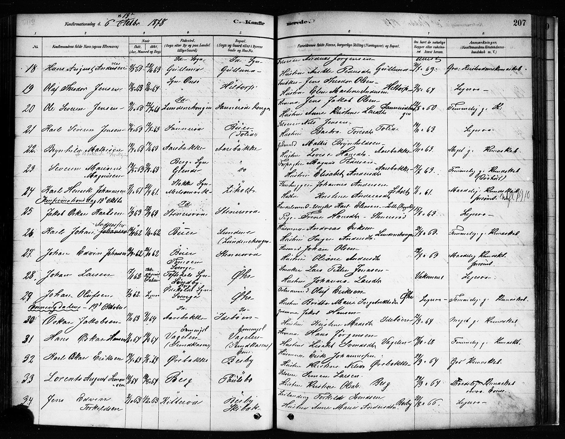 Idd prestekontor Kirkebøker, AV/SAO-A-10911/F/Fc/L0006a: Parish register (official) no. III 6A, 1878-1903, p. 207