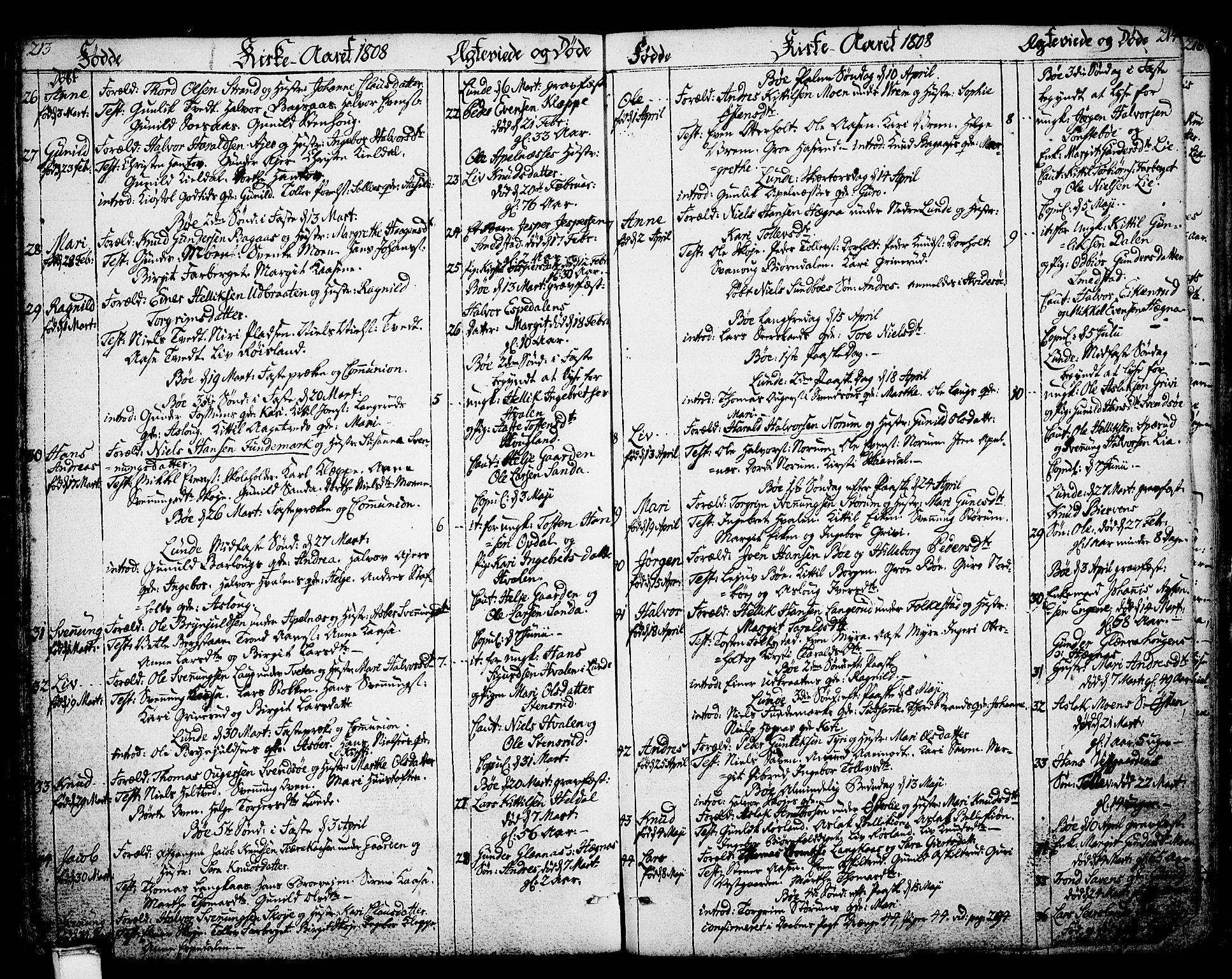 Bø kirkebøker, SAKO/A-257/F/Fa/L0005: Parish register (official) no. 5, 1785-1815, p. 213-214