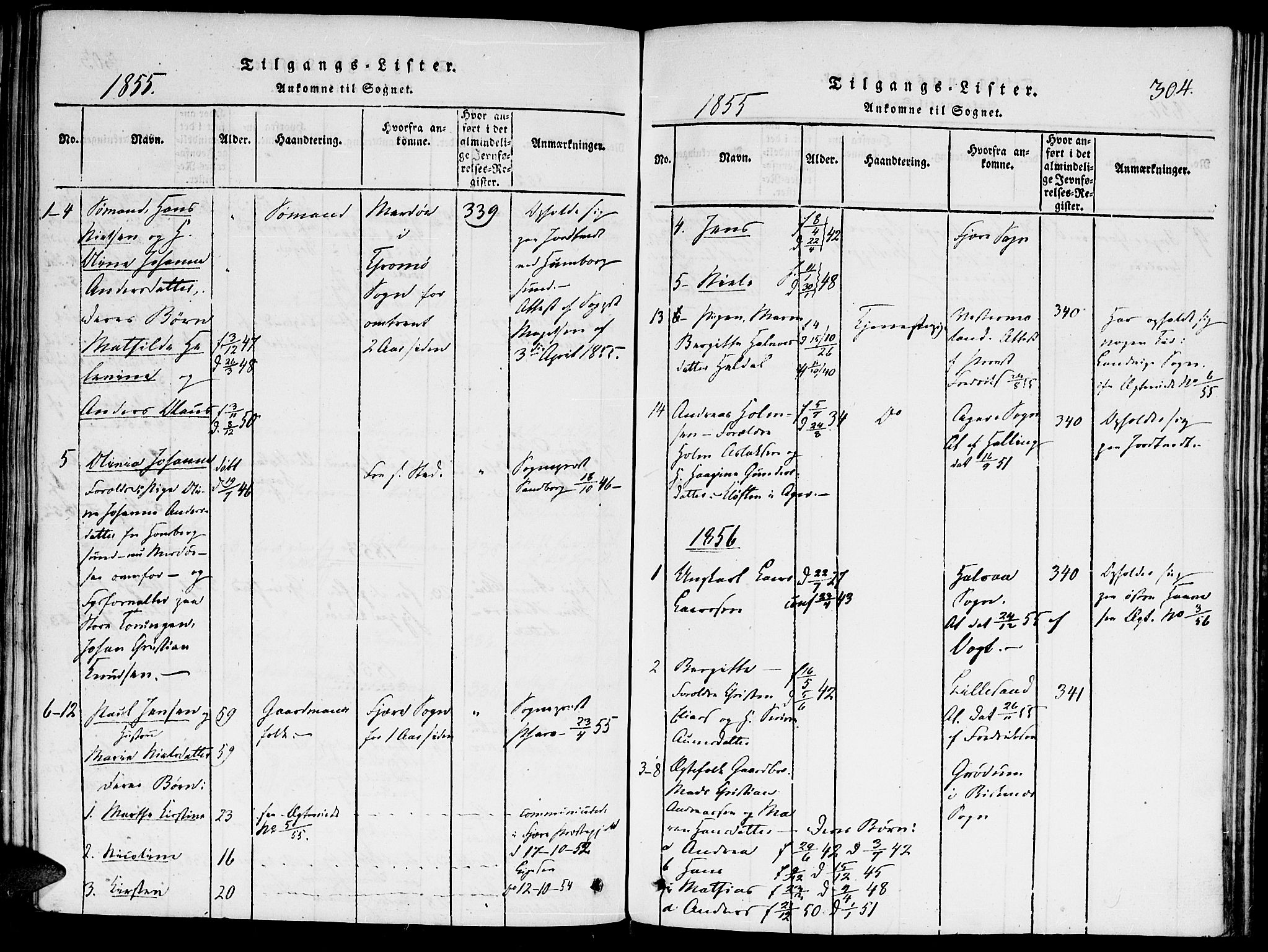 Hommedal sokneprestkontor, AV/SAK-1111-0023/F/Fa/Faa/L0001: Parish register (official) no. A 1, 1816-1860, p. 304