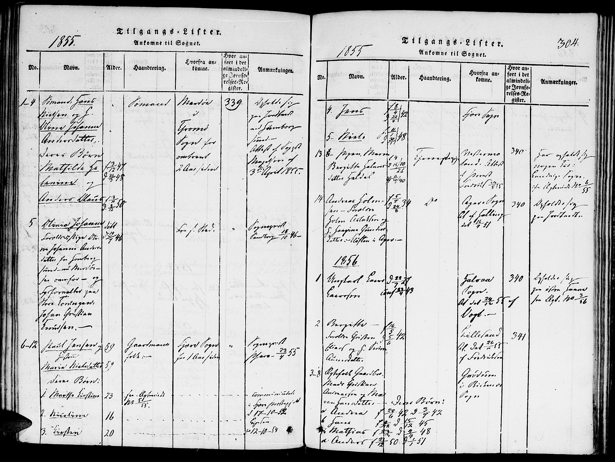 Hommedal sokneprestkontor, SAK/1111-0023/F/Fa/Faa/L0001: Parish register (official) no. A 1, 1816-1860, p. 304