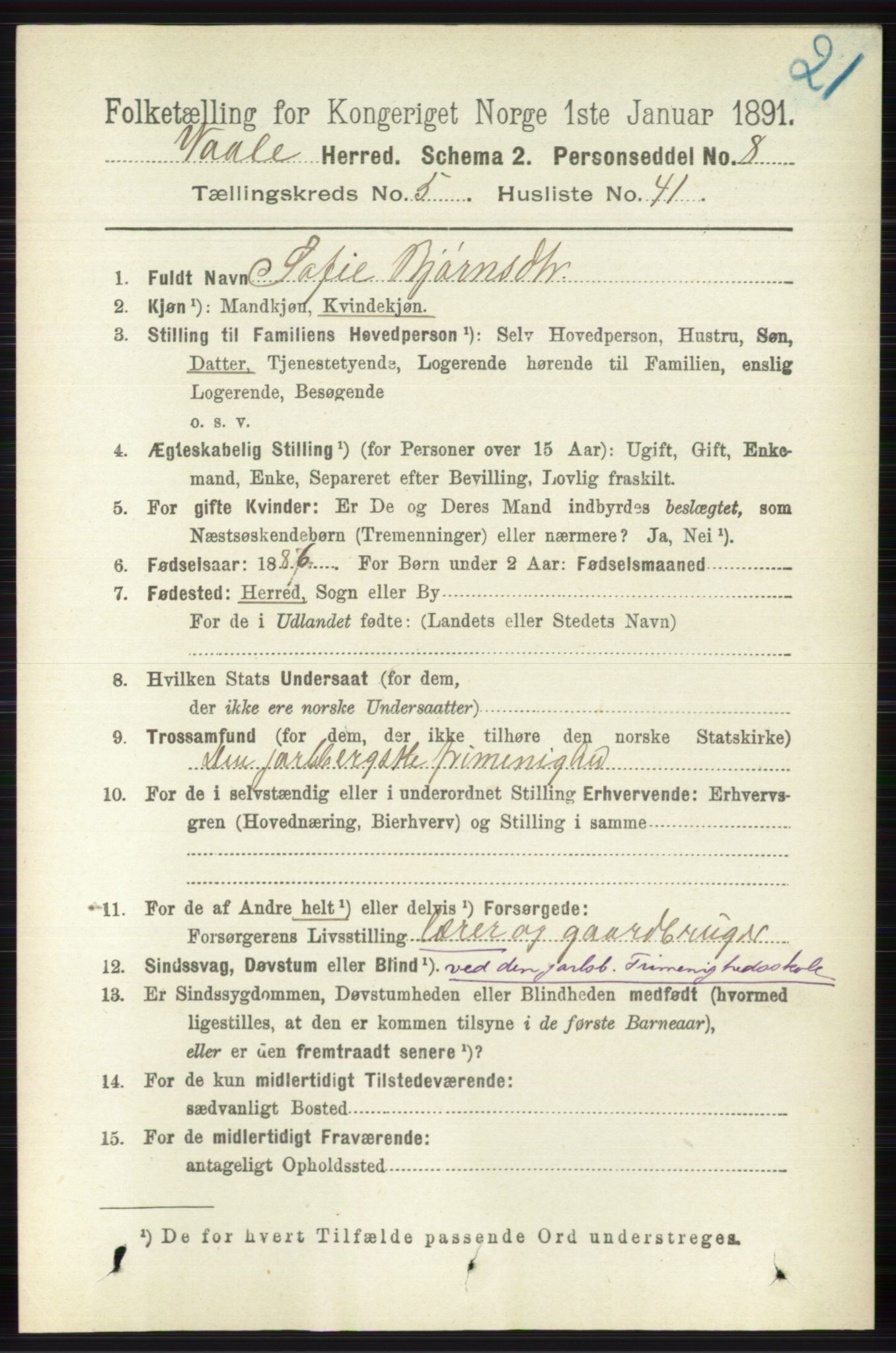 RA, 1891 census for 0716 Våle, 1891, p. 1631