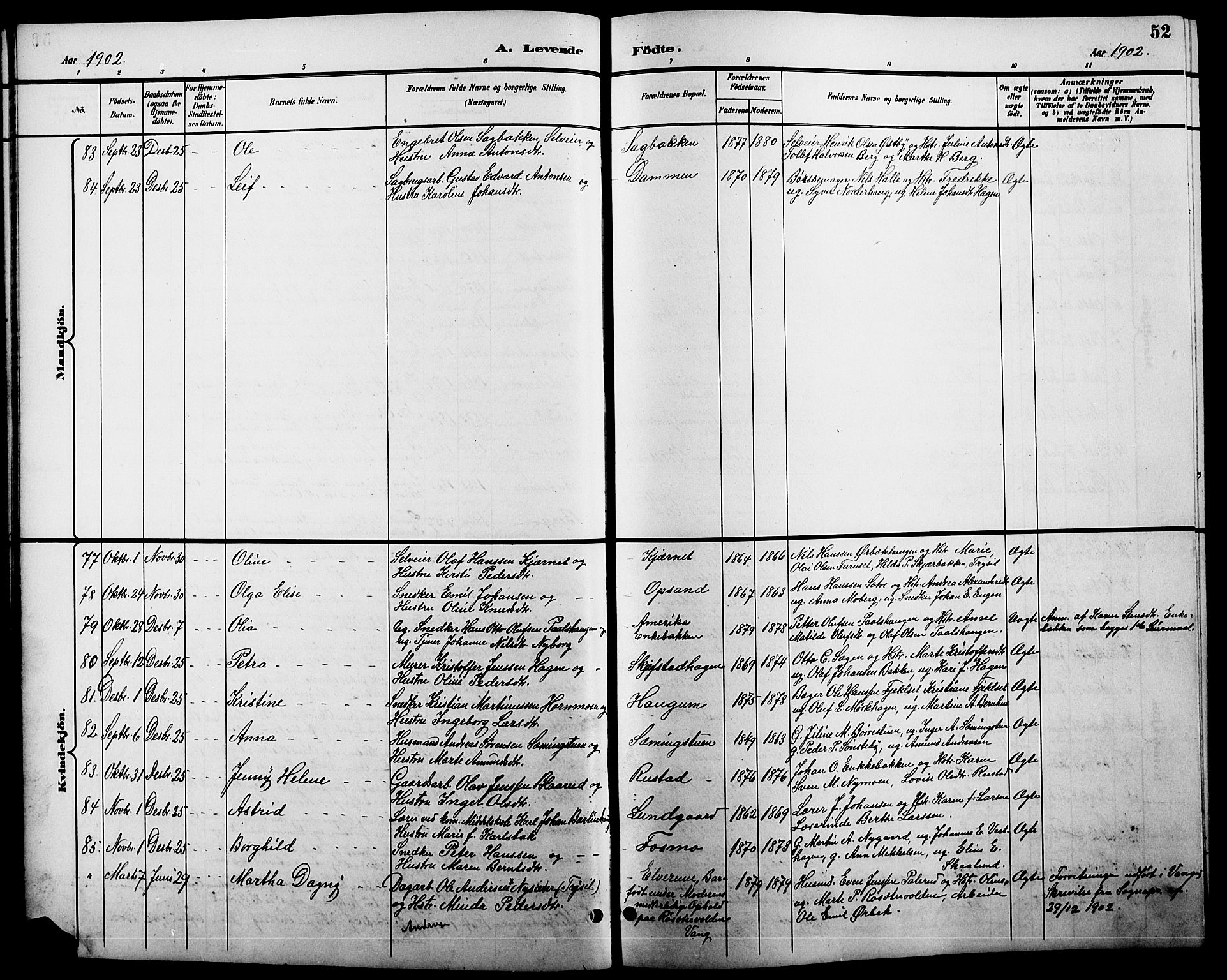 Elverum prestekontor, AV/SAH-PREST-044/H/Ha/Hab/L0005: Parish register (copy) no. 5, 1896-1915, p. 52