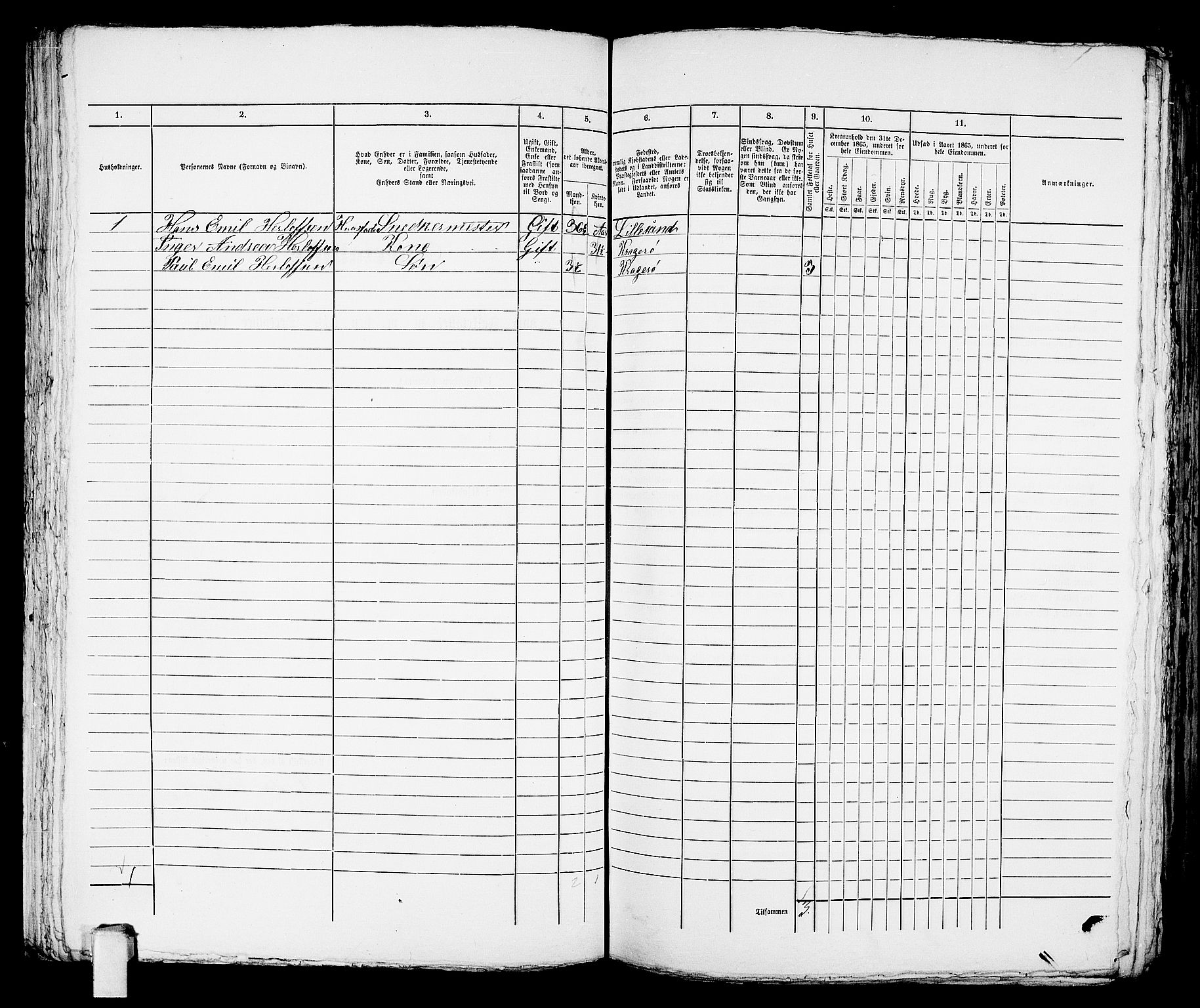 RA, 1865 census for Kragerø/Kragerø, 1865, p. 730