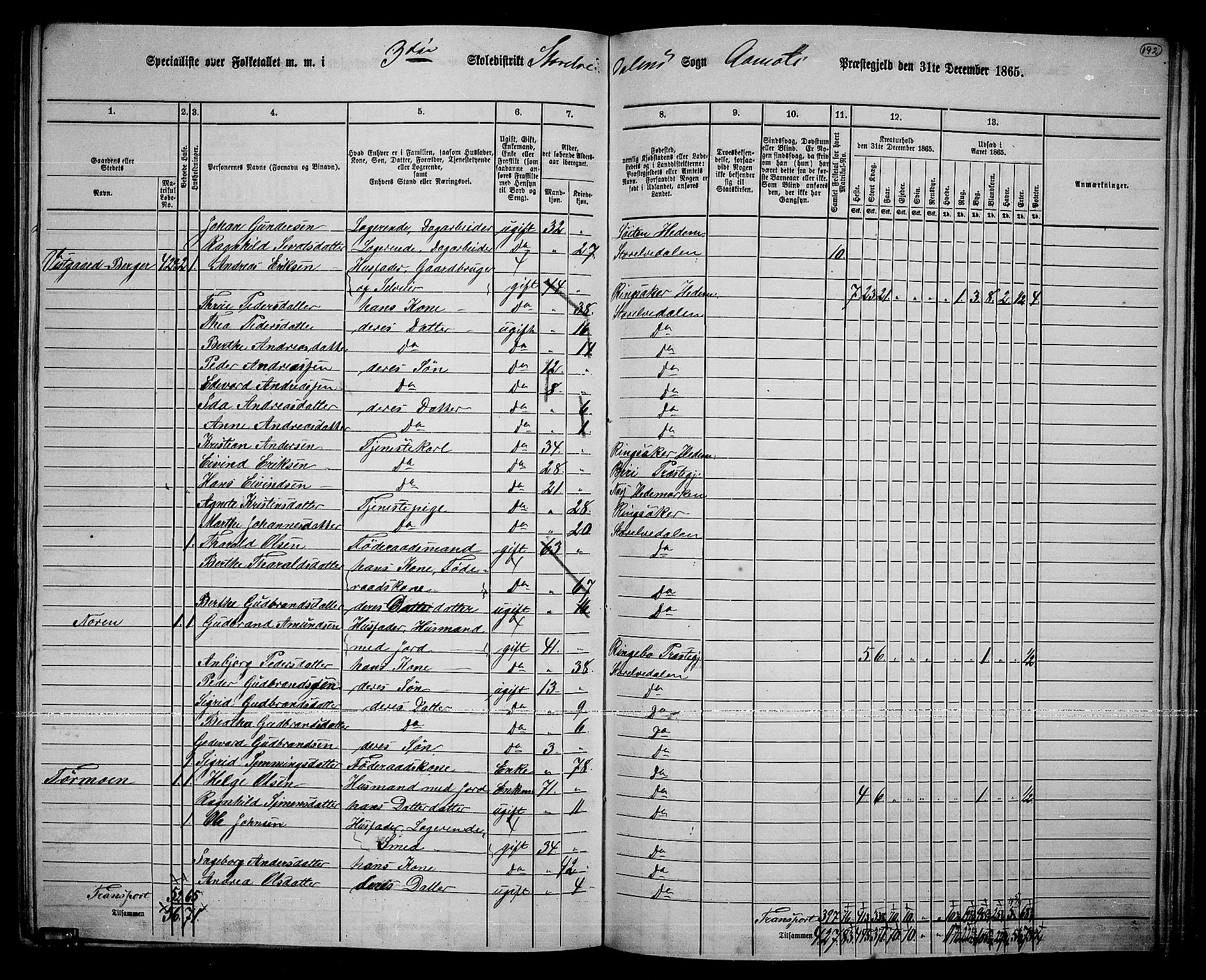 RA, 1865 census for Åmot, 1865, p. 168