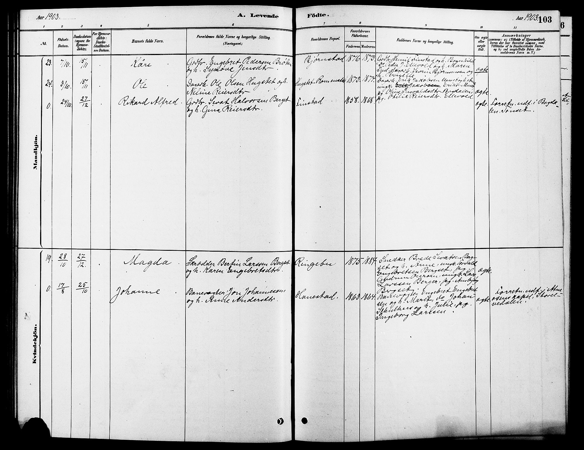 Rendalen prestekontor, SAH/PREST-054/H/Ha/Hab/L0003: Parish register (copy) no. 3, 1879-1904, p. 103