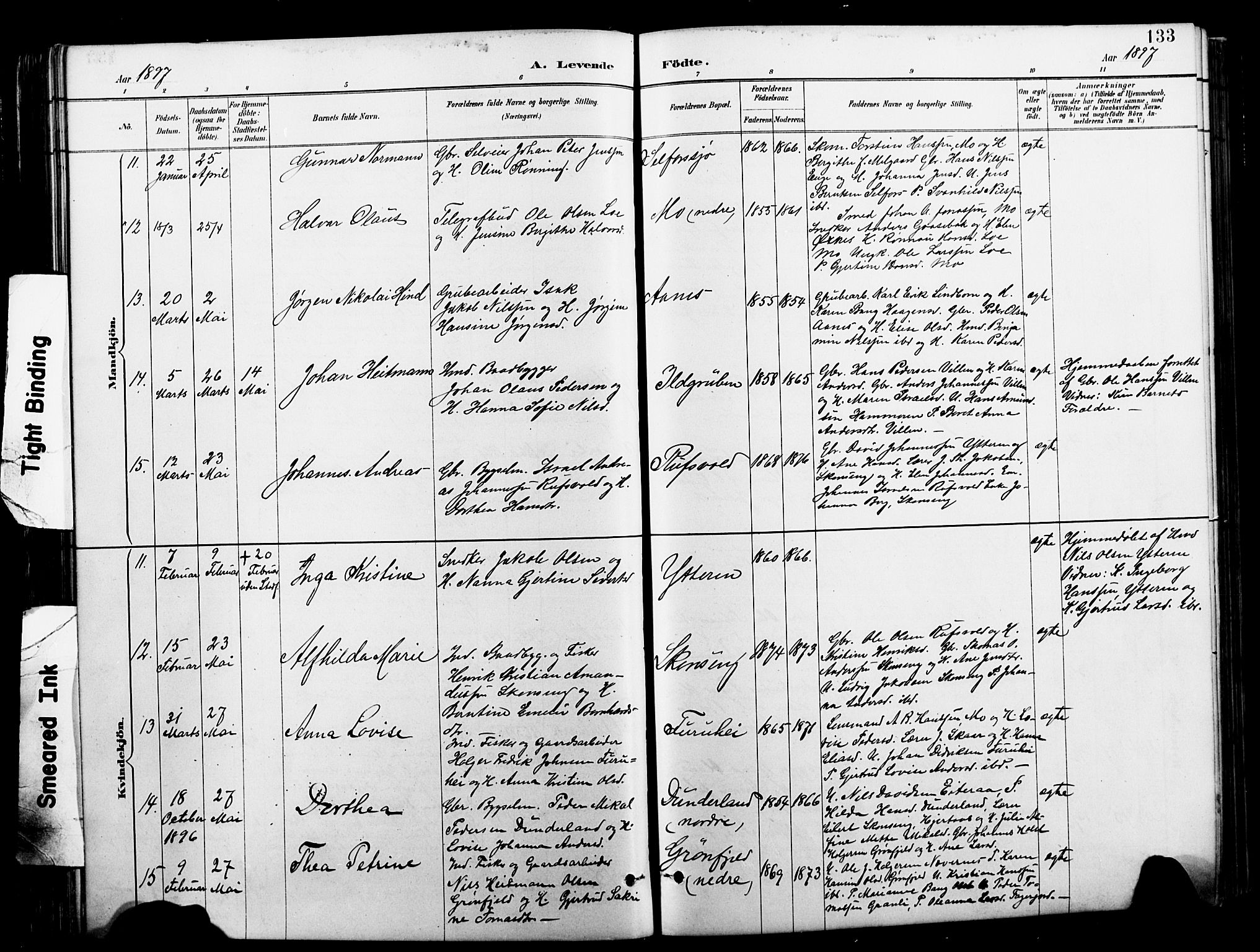 Ministerialprotokoller, klokkerbøker og fødselsregistre - Nordland, AV/SAT-A-1459/827/L0421: Parish register (copy) no. 827C10, 1887-1906, p. 133