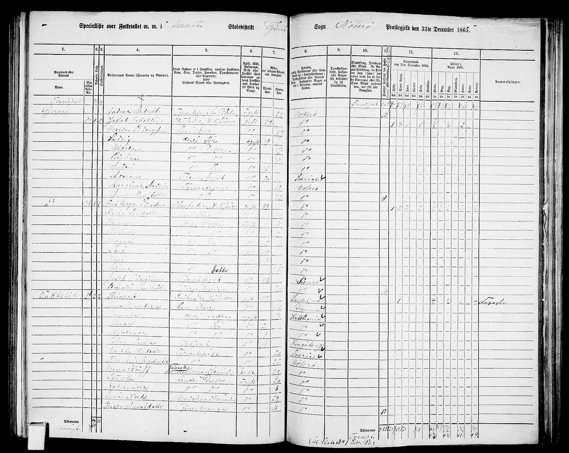 RA, 1865 census for Nøtterøy, 1865, p. 216