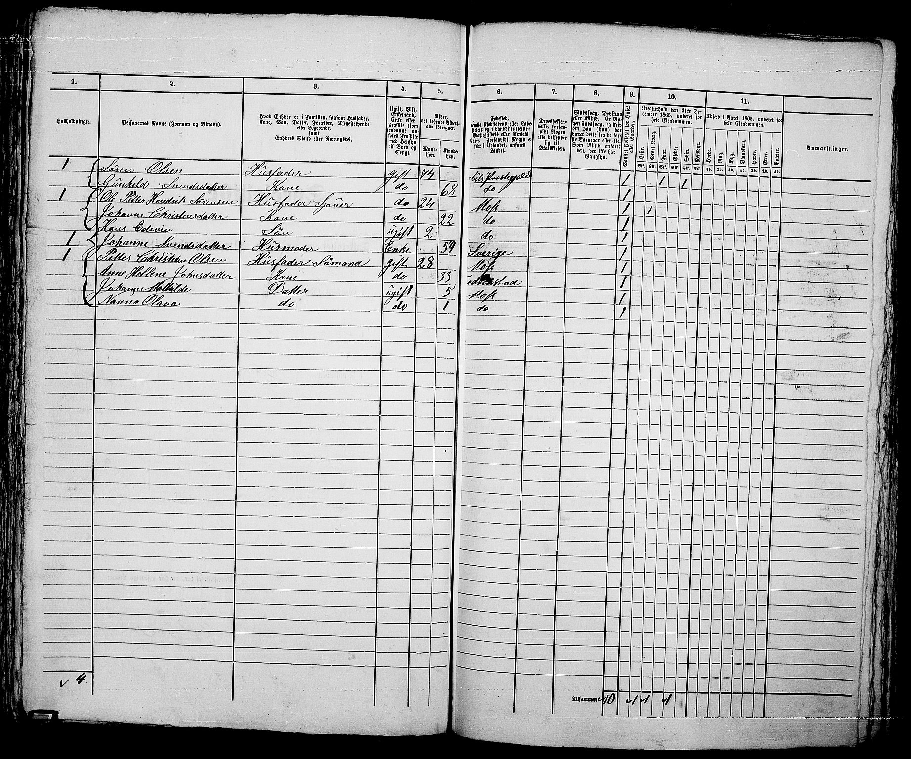 RA, 1865 census for Moss/Moss, 1865, p. 663