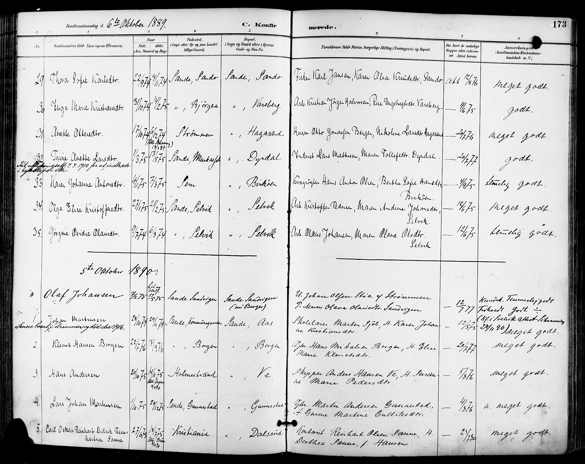 Sande Kirkebøker, AV/SAKO-A-53/F/Fa/L0007: Parish register (official) no. 7, 1888-1903, p. 173