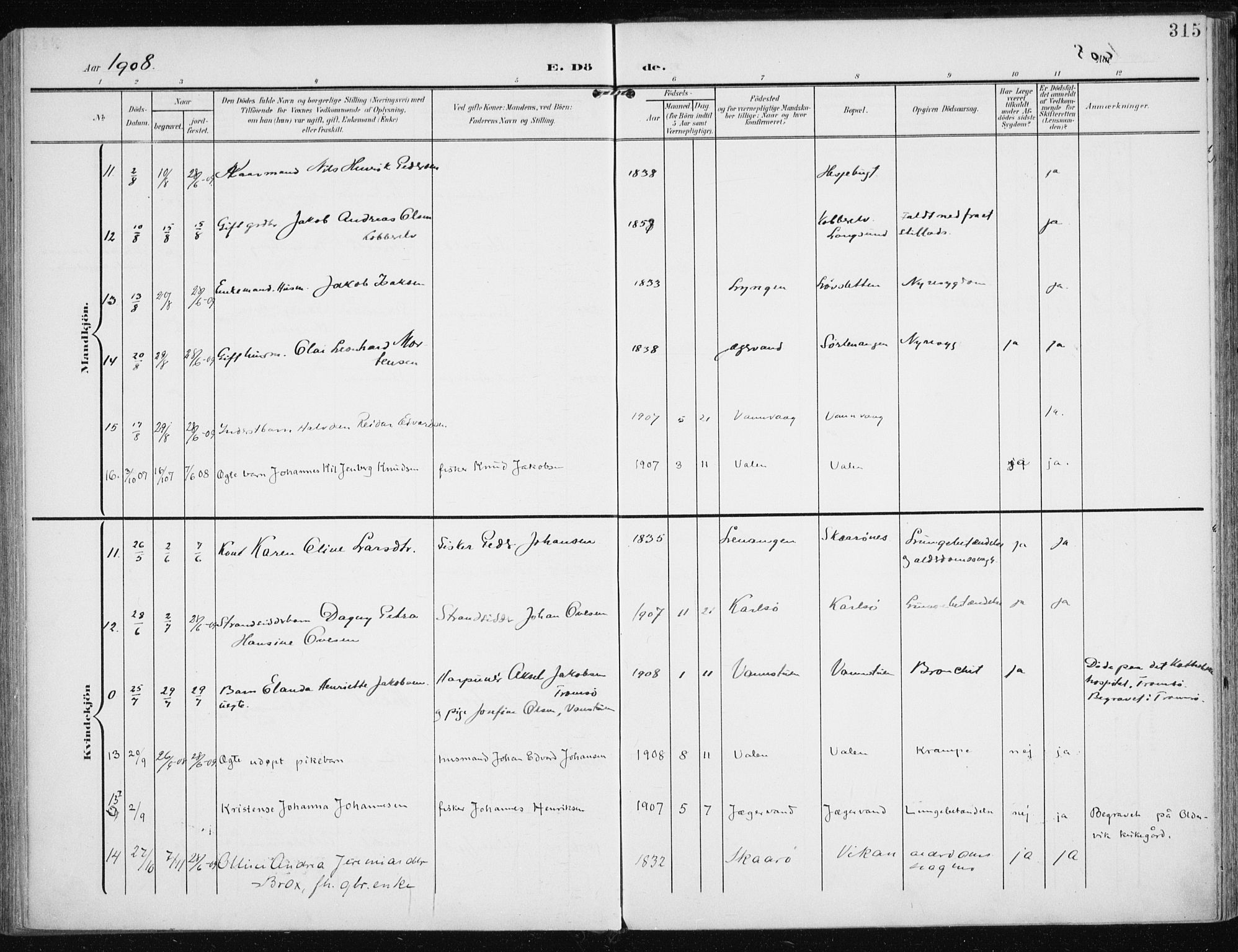 Karlsøy sokneprestembete, AV/SATØ-S-1299/H/Ha/Haa/L0014kirke: Parish register (official) no. 14, 1903-1917, p. 315