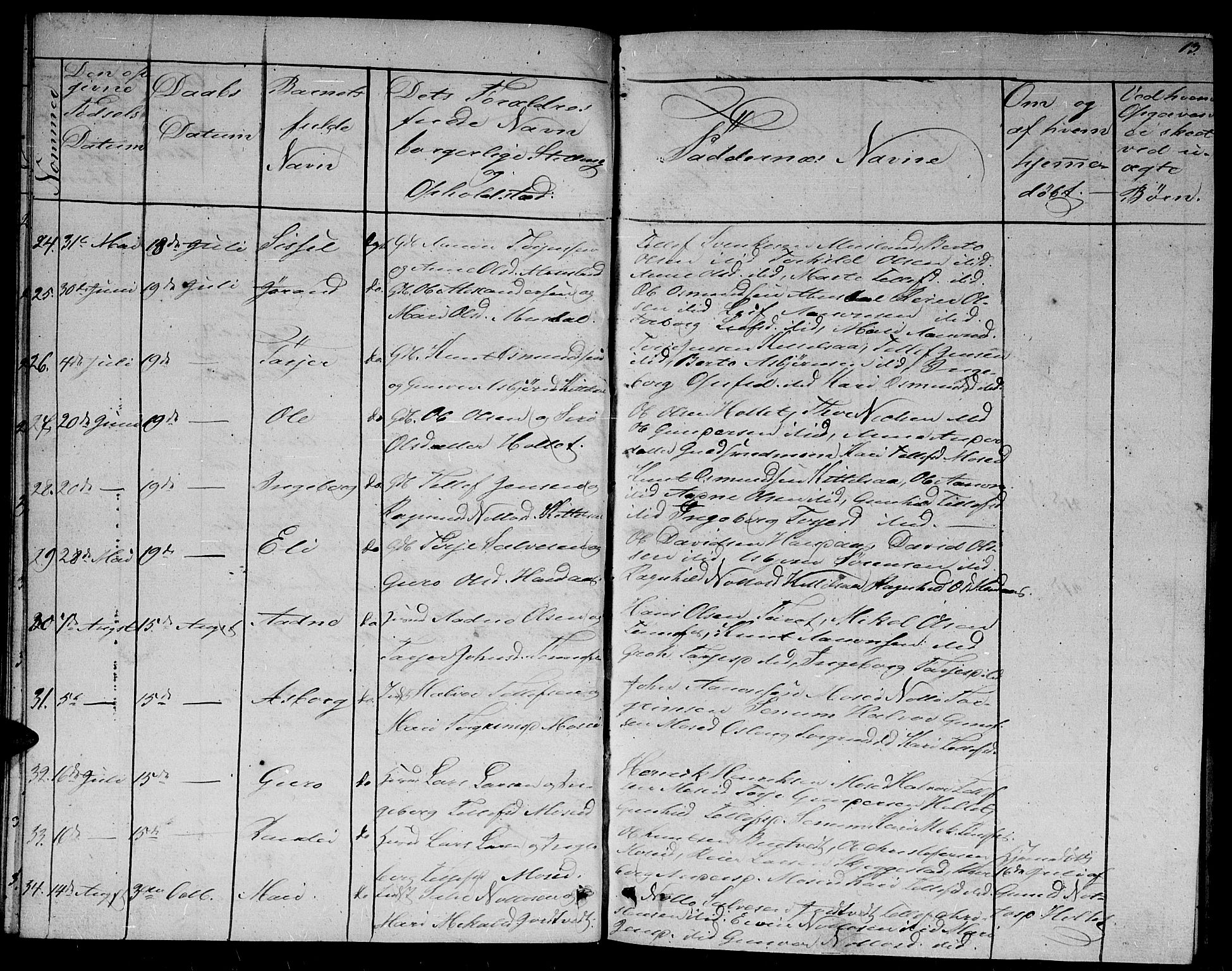 Evje sokneprestkontor, AV/SAK-1111-0008/F/Fb/Fbb/L0001: Parish register (copy) no. B 1, 1849-1878, p. 13