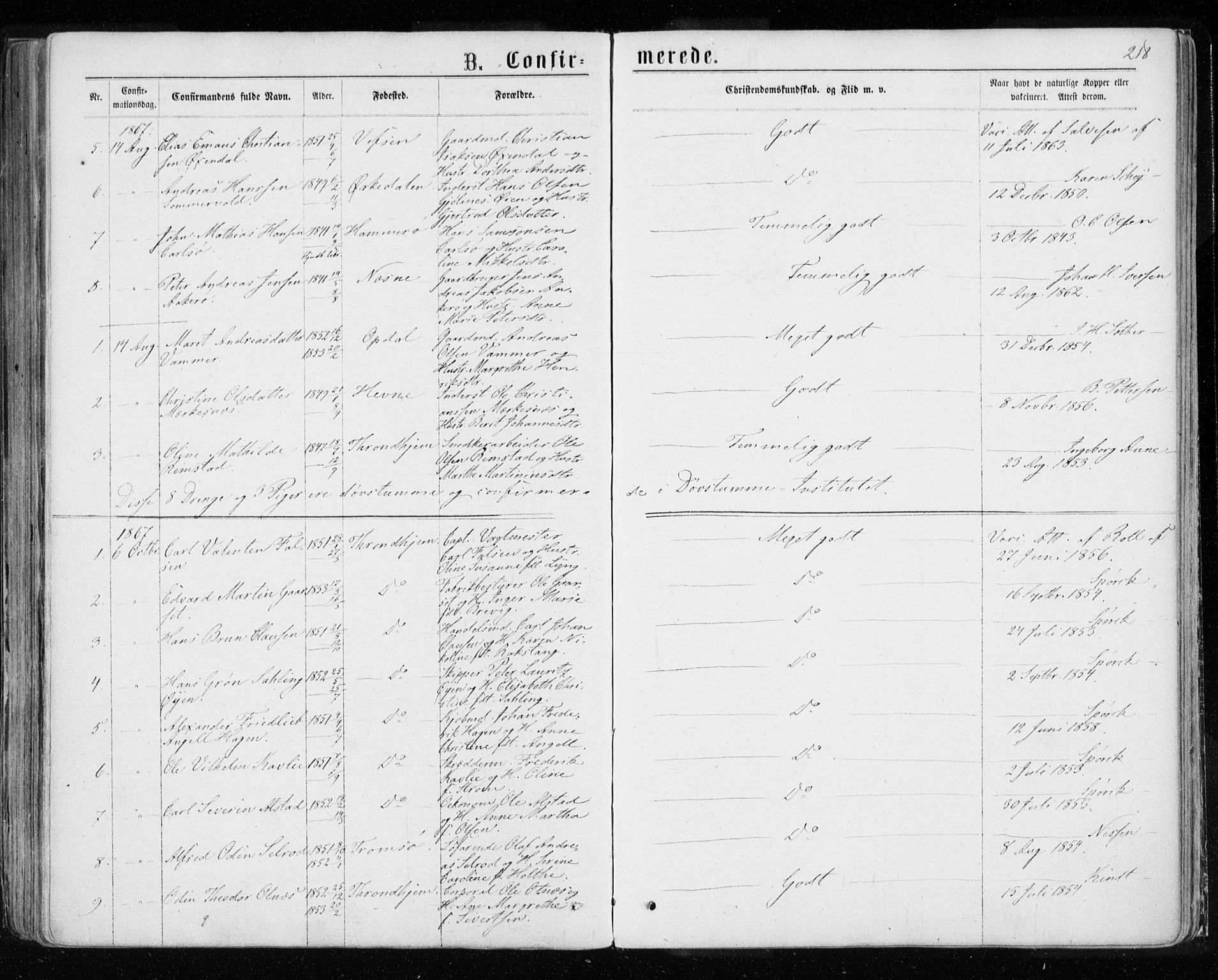 Ministerialprotokoller, klokkerbøker og fødselsregistre - Sør-Trøndelag, AV/SAT-A-1456/601/L0054: Parish register (official) no. 601A22, 1866-1877, p. 218