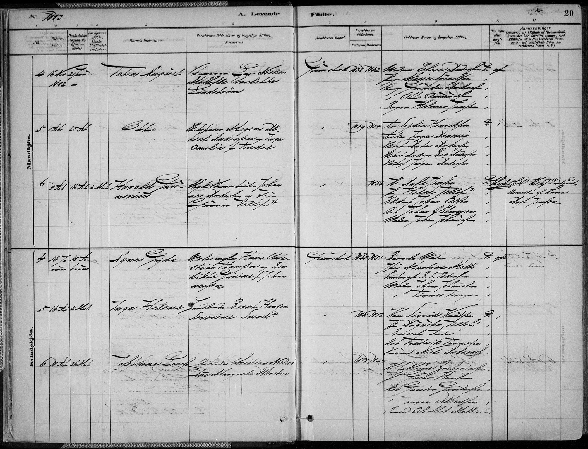 Grimstad sokneprestkontor, SAK/1111-0017/F/Fa/L0003: Parish register (official) no. A 2, 1882-1912, p. 20