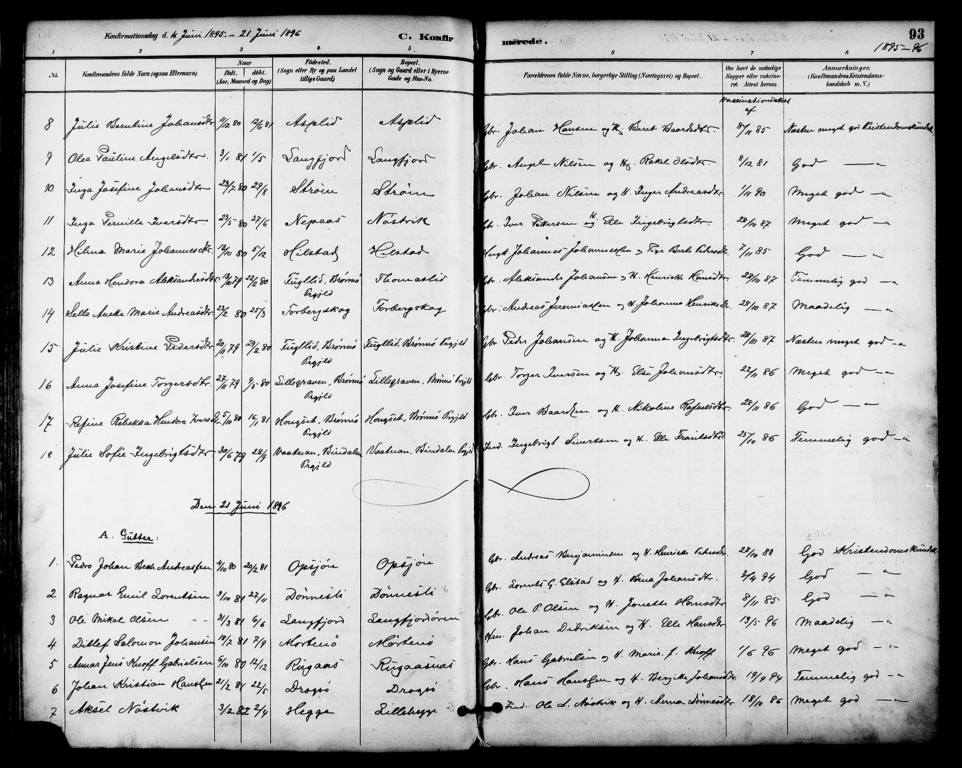 Ministerialprotokoller, klokkerbøker og fødselsregistre - Nordland, AV/SAT-A-1459/814/L0226: Parish register (official) no. 814A07, 1886-1898, p. 93