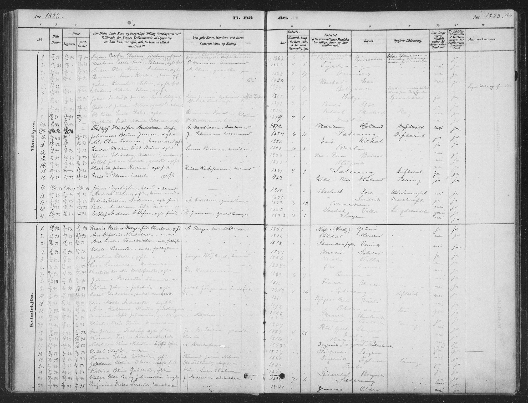 Ministerialprotokoller, klokkerbøker og fødselsregistre - Nordland, AV/SAT-A-1459/843/L0627: Parish register (official) no. 843A02, 1878-1908, p. 106