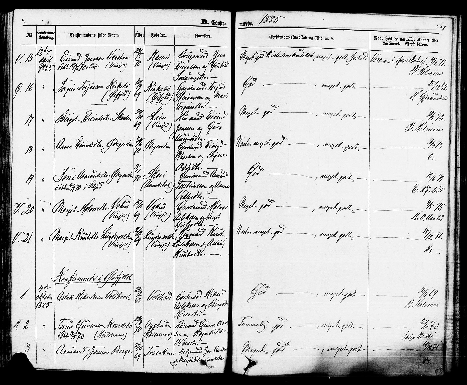 Rauland kirkebøker, SAKO/A-292/F/Fa/L0003: Parish register (official) no. 3, 1859-1886, p. 207