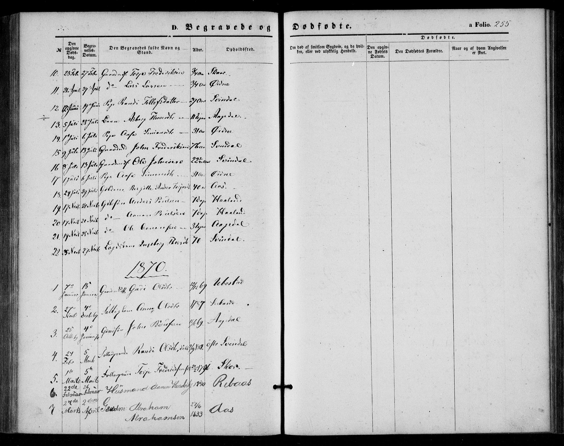 Bjelland sokneprestkontor, AV/SAK-1111-0005/F/Fa/Fac/L0002: Parish register (official) no. A 2, 1866-1887, p. 255