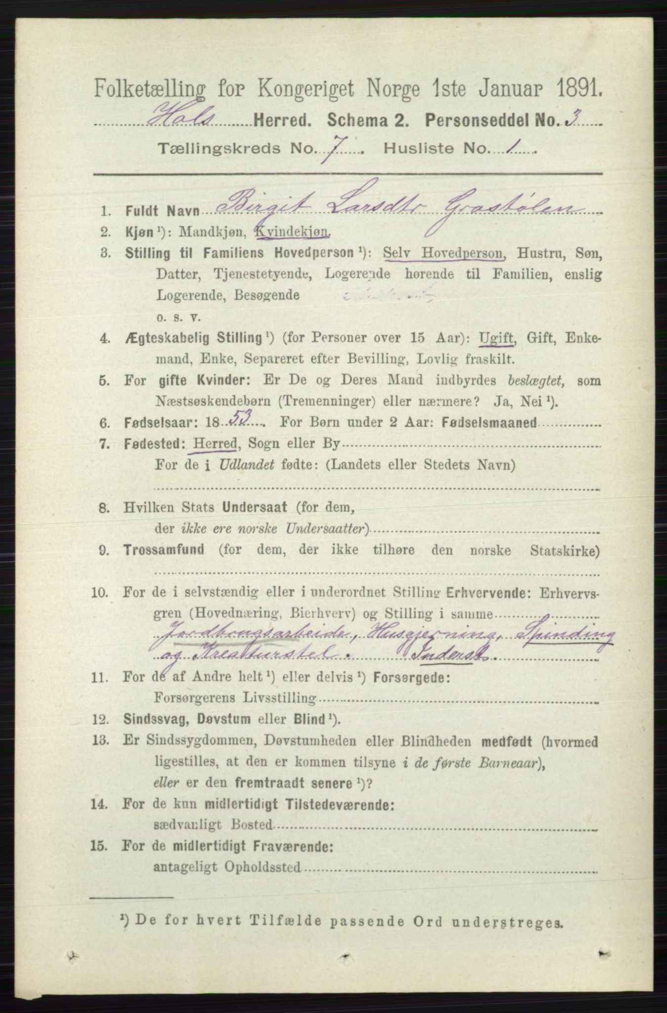 RA, 1891 census for 0620 Hol, 1891, p. 2017