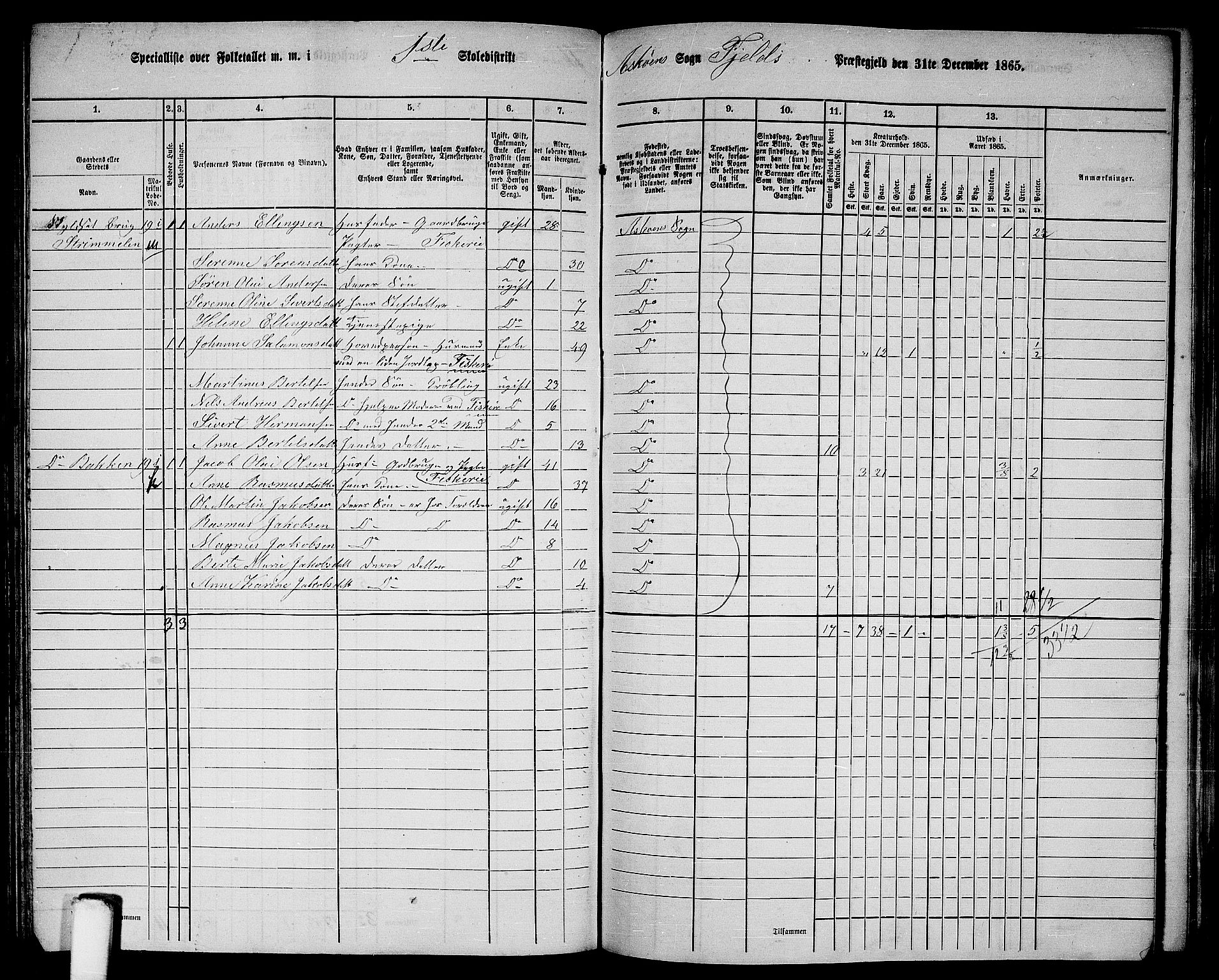 RA, 1865 census for Fjell, 1865, p. 123