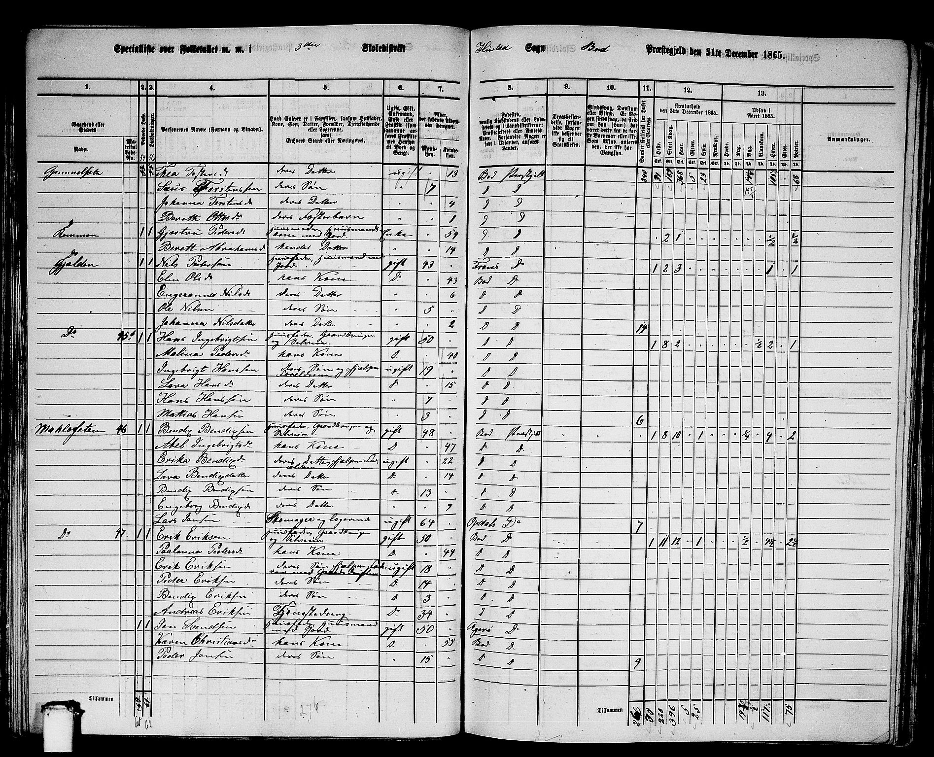 RA, 1865 census for Bud, 1865, p. 41