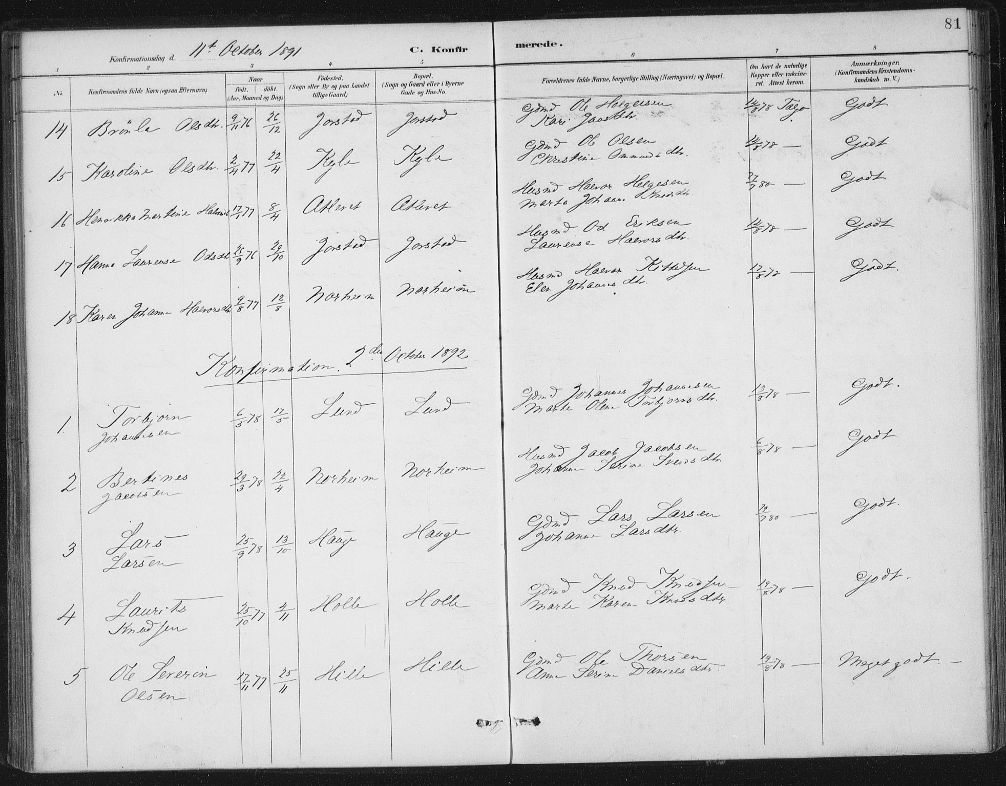 Nedstrand sokneprestkontor, AV/SAST-A-101841/01/IV: Parish register (official) no. A 13, 1887-1915, p. 81