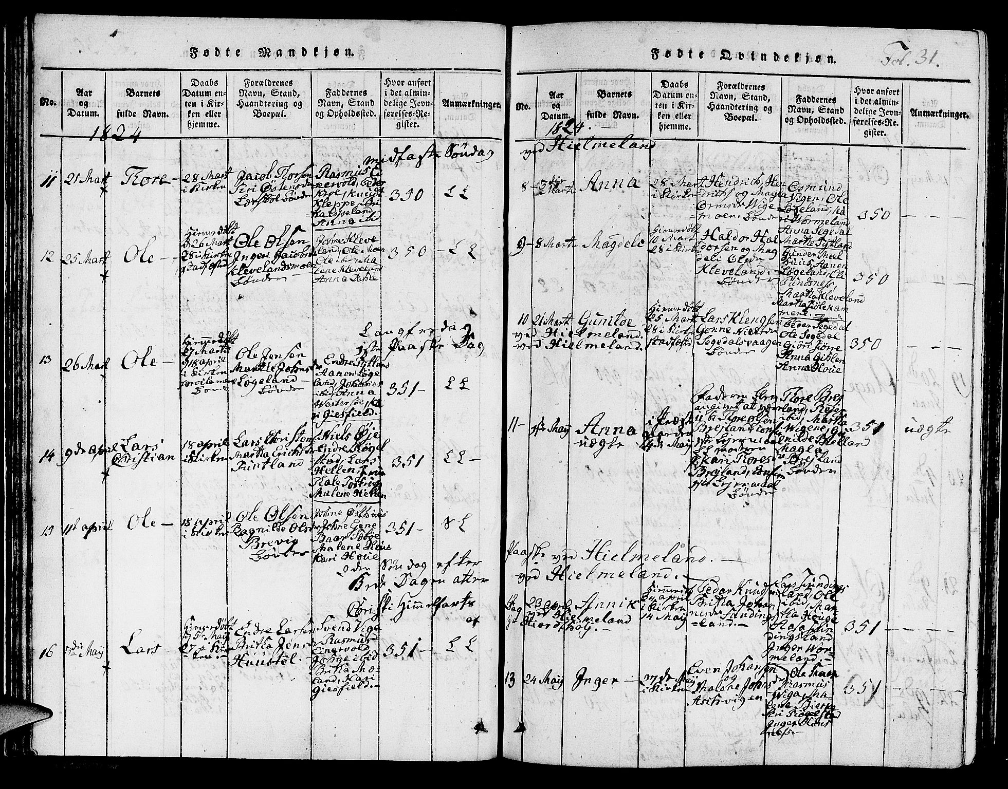 Hjelmeland sokneprestkontor, SAST/A-101843/01/IV/L0003: Parish register (official) no. A 3, 1816-1834, p. 31