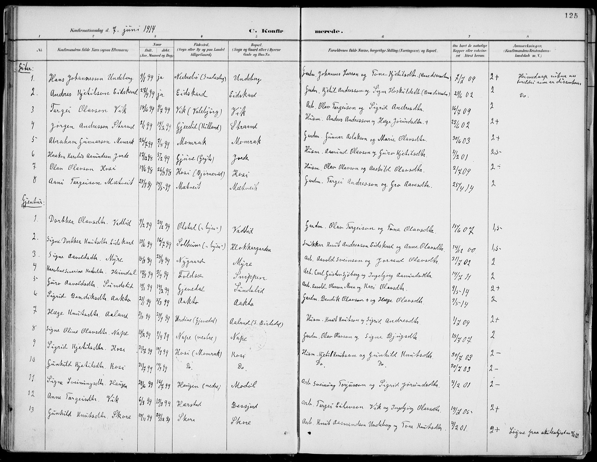 Fyresdal kirkebøker, SAKO/A-263/F/Fa/L0007: Parish register (official) no. I 7, 1887-1914, p. 125