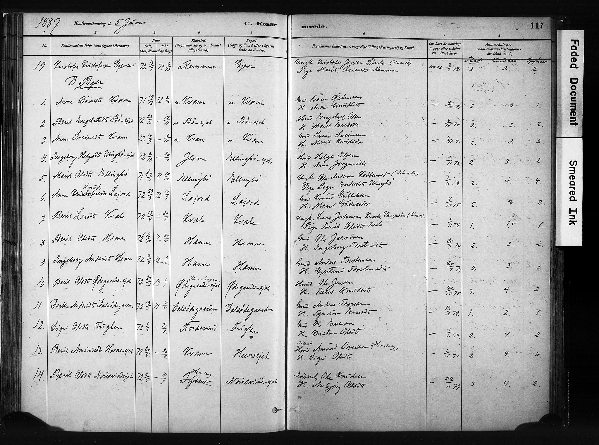 Vang prestekontor, Valdres, SAH/PREST-140/H/Ha/L0008: Parish register (official) no. 8, 1882-1910, p. 117