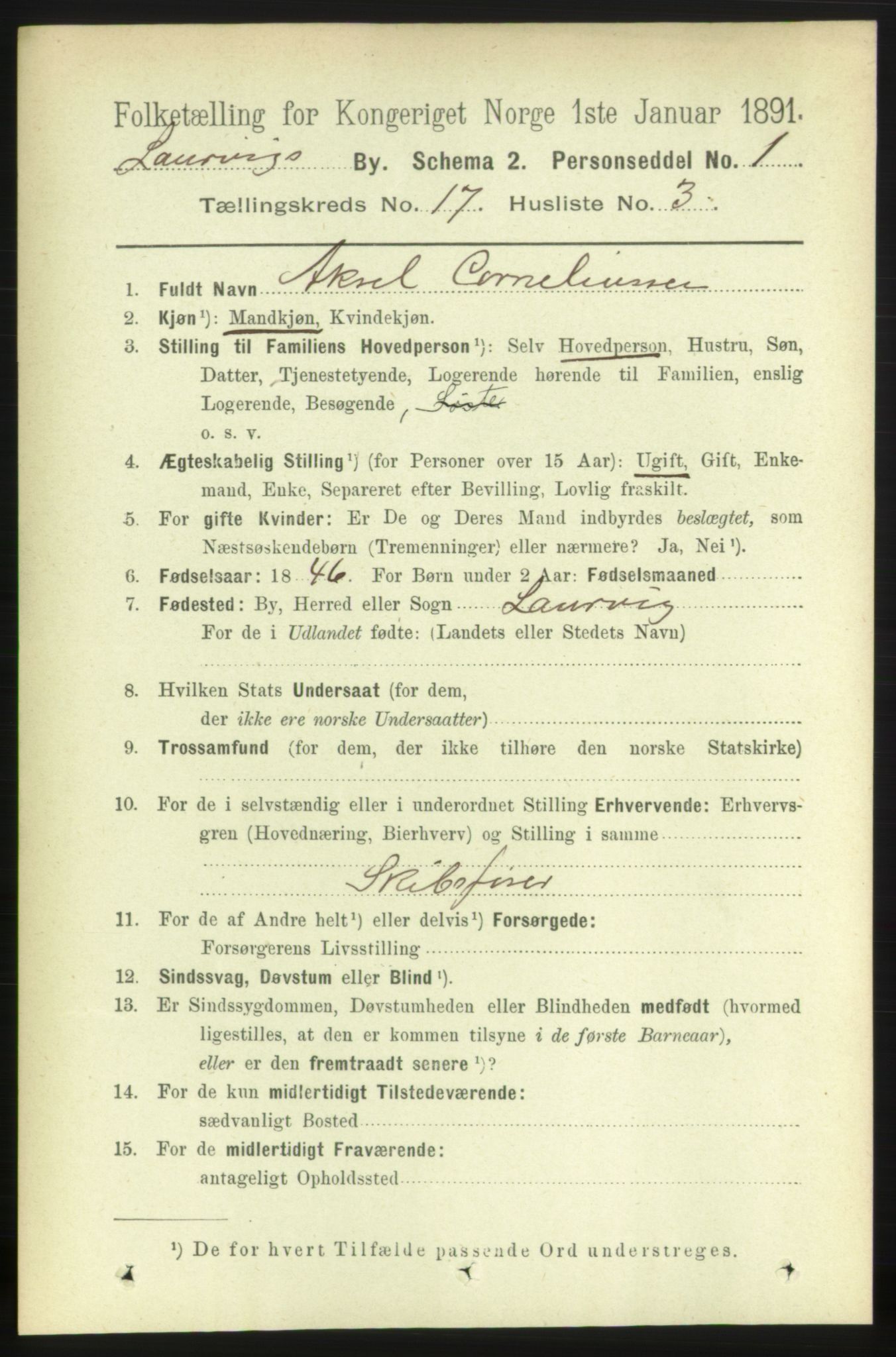 RA, 1891 census for 0707 Larvik, 1891, p. 12346