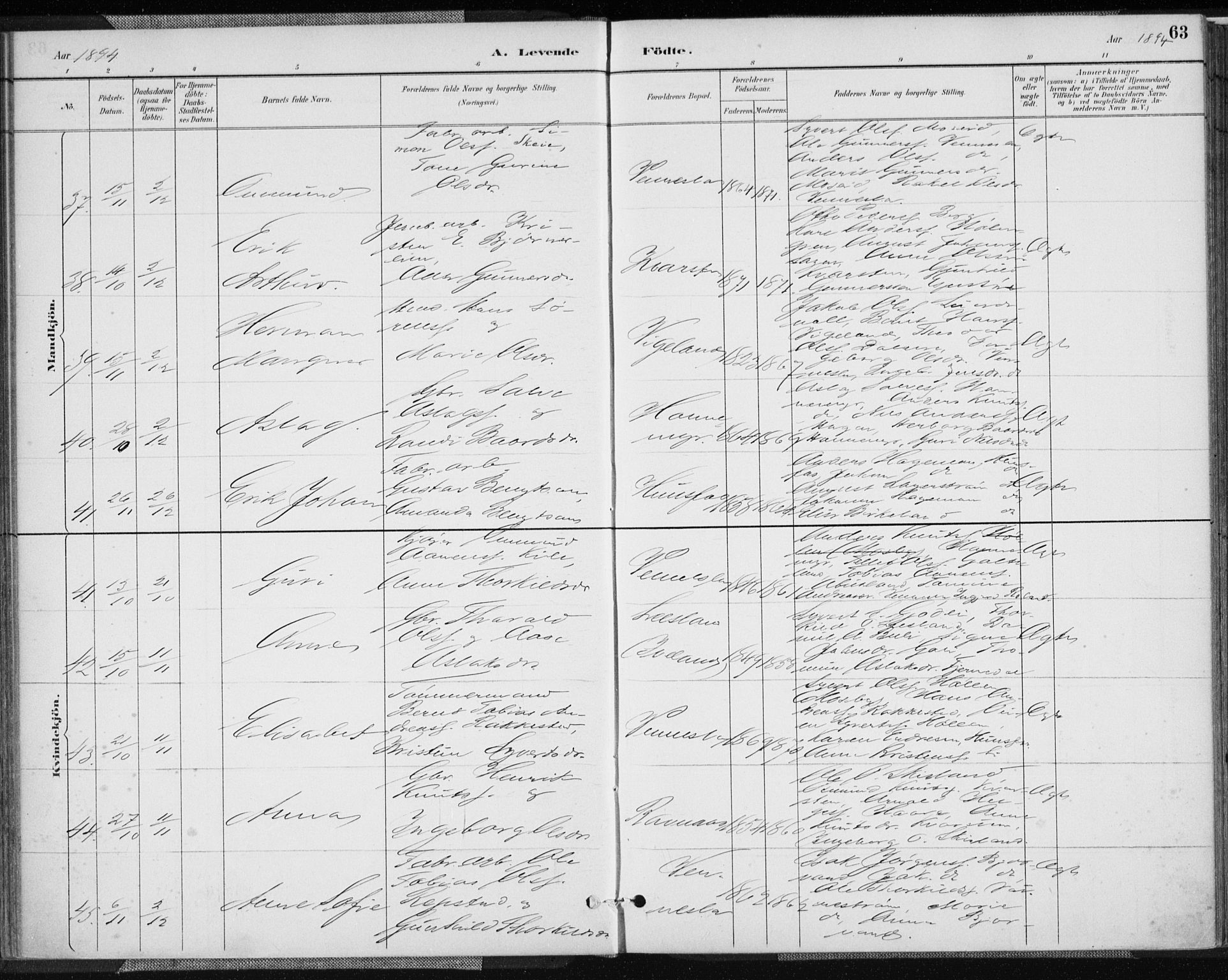 Vennesla sokneprestkontor, AV/SAK-1111-0045/Fa/Fab/L0004: Parish register (official) no. A 4, 1884-1896, p. 63