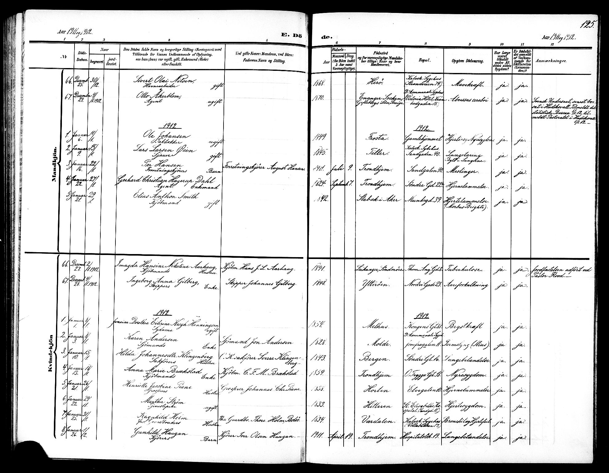 Ministerialprotokoller, klokkerbøker og fødselsregistre - Sør-Trøndelag, SAT/A-1456/602/L0146: Parish register (copy) no. 602C14, 1904-1914, p. 125