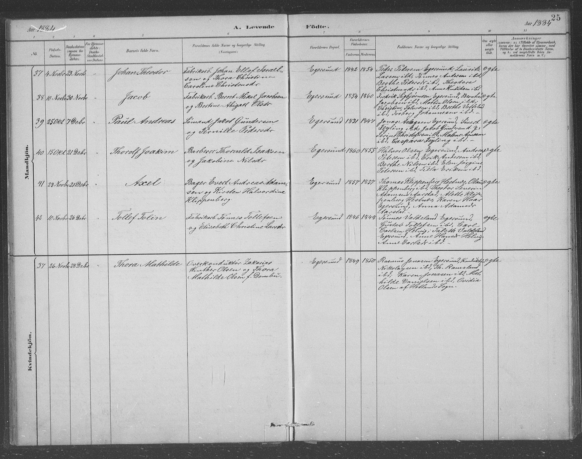 Eigersund sokneprestkontor, AV/SAST-A-101807/001/30/30BB/L0008: Parish register (copy) no. B 8, 1882-1892, p. 25