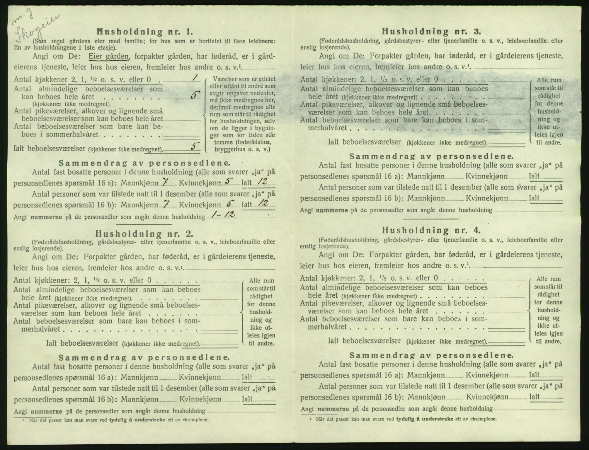 SAH, 1920 census for Trysil, 1920, p. 102