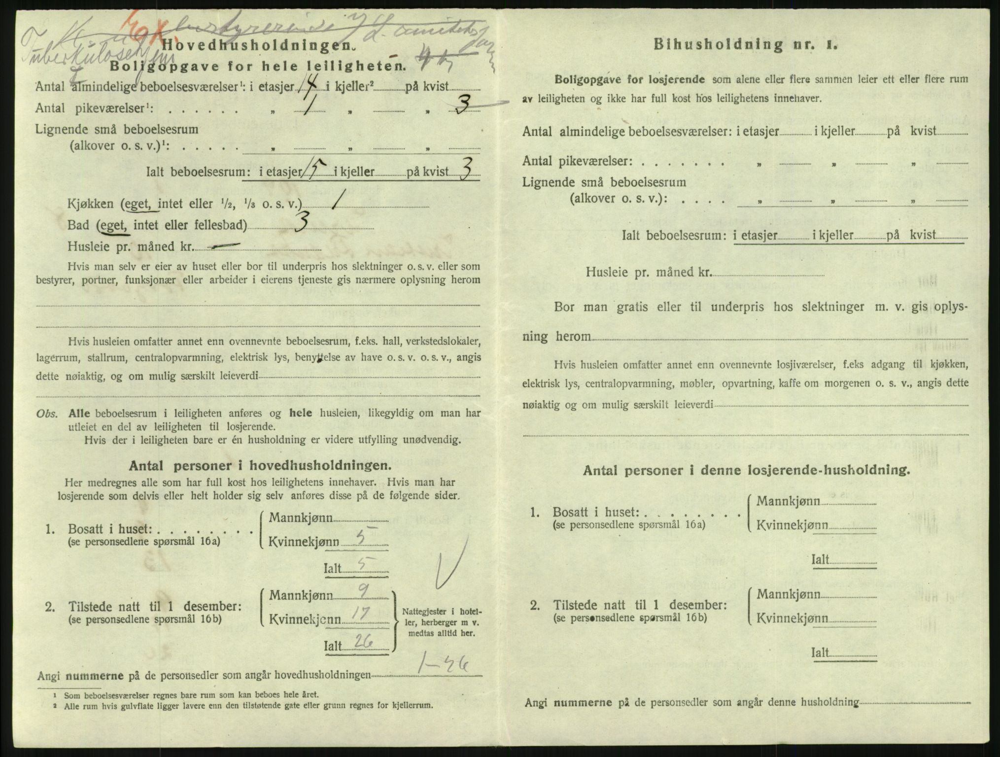 SAKO, 1920 census for Larvik, 1920, p. 6965