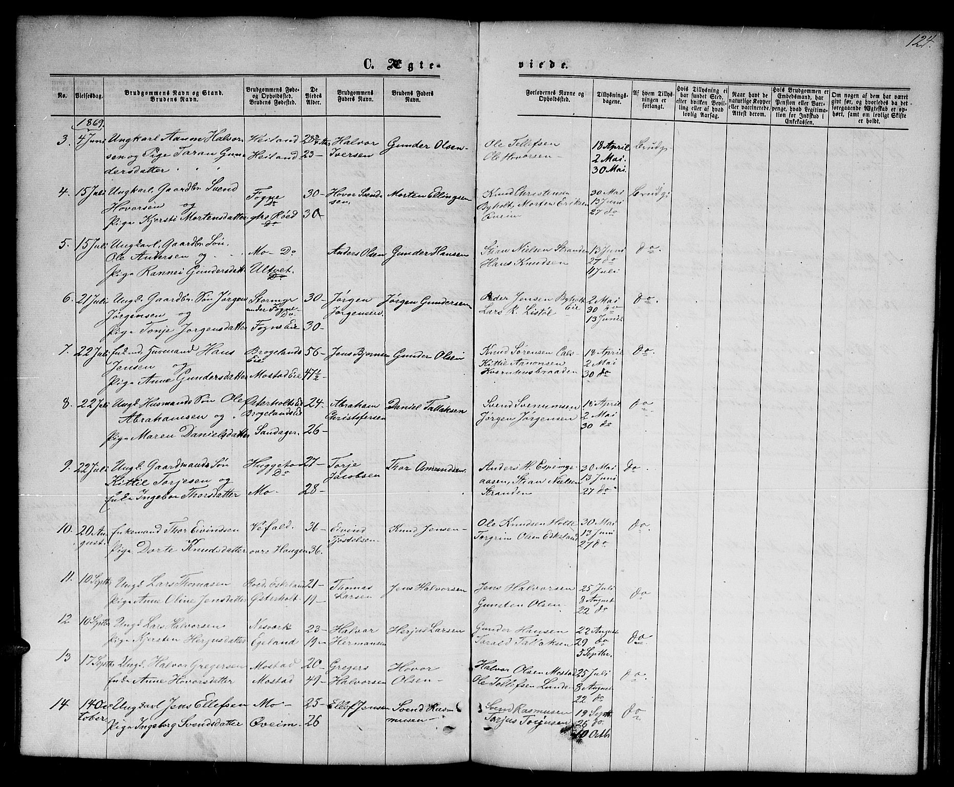 Gjerstad sokneprestkontor, AV/SAK-1111-0014/F/Fb/Fba/L0006: Parish register (copy) no. B 6, 1868-1890, p. 124