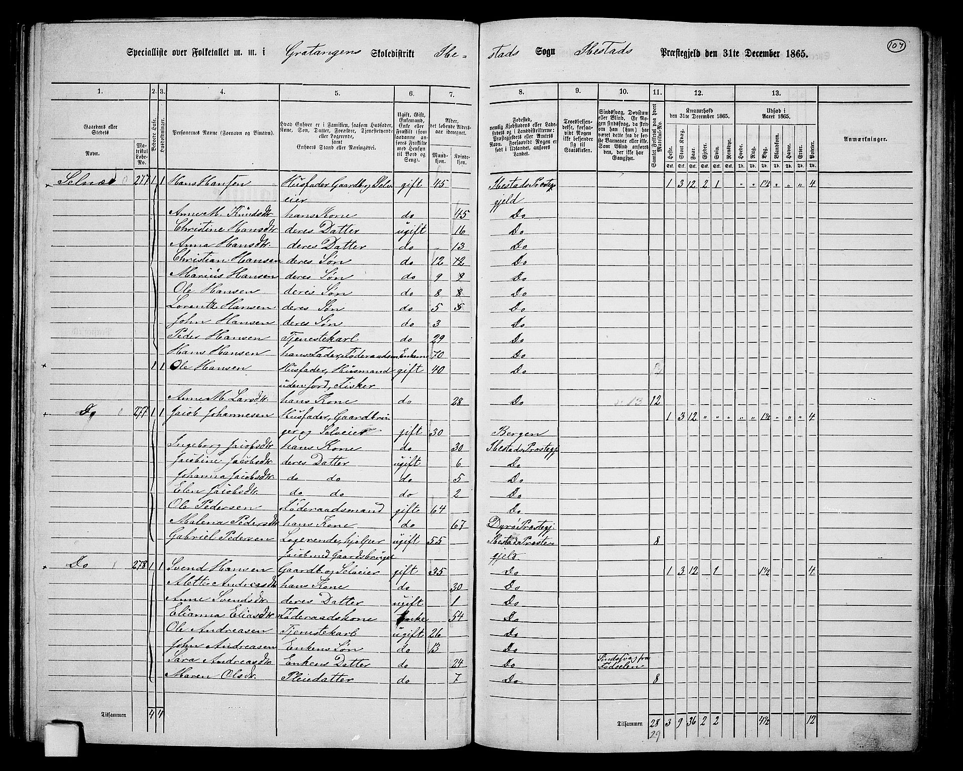 RA, 1865 census for Ibestad, 1865, p. 100