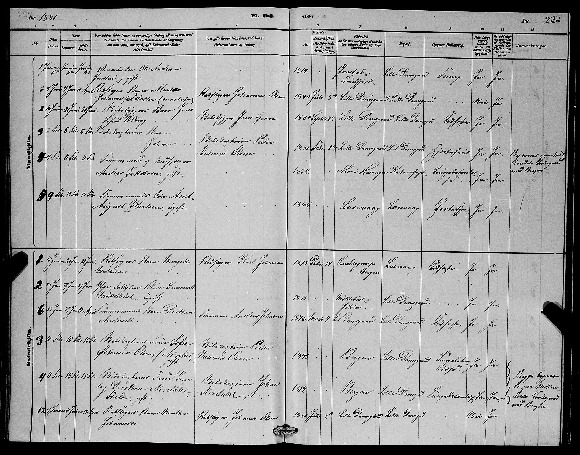 Laksevåg Sokneprestembete, SAB/A-76501/H/Ha/Hab/Haba/L0002: Parish register (copy) no. A 2, 1877-1887, p. 222