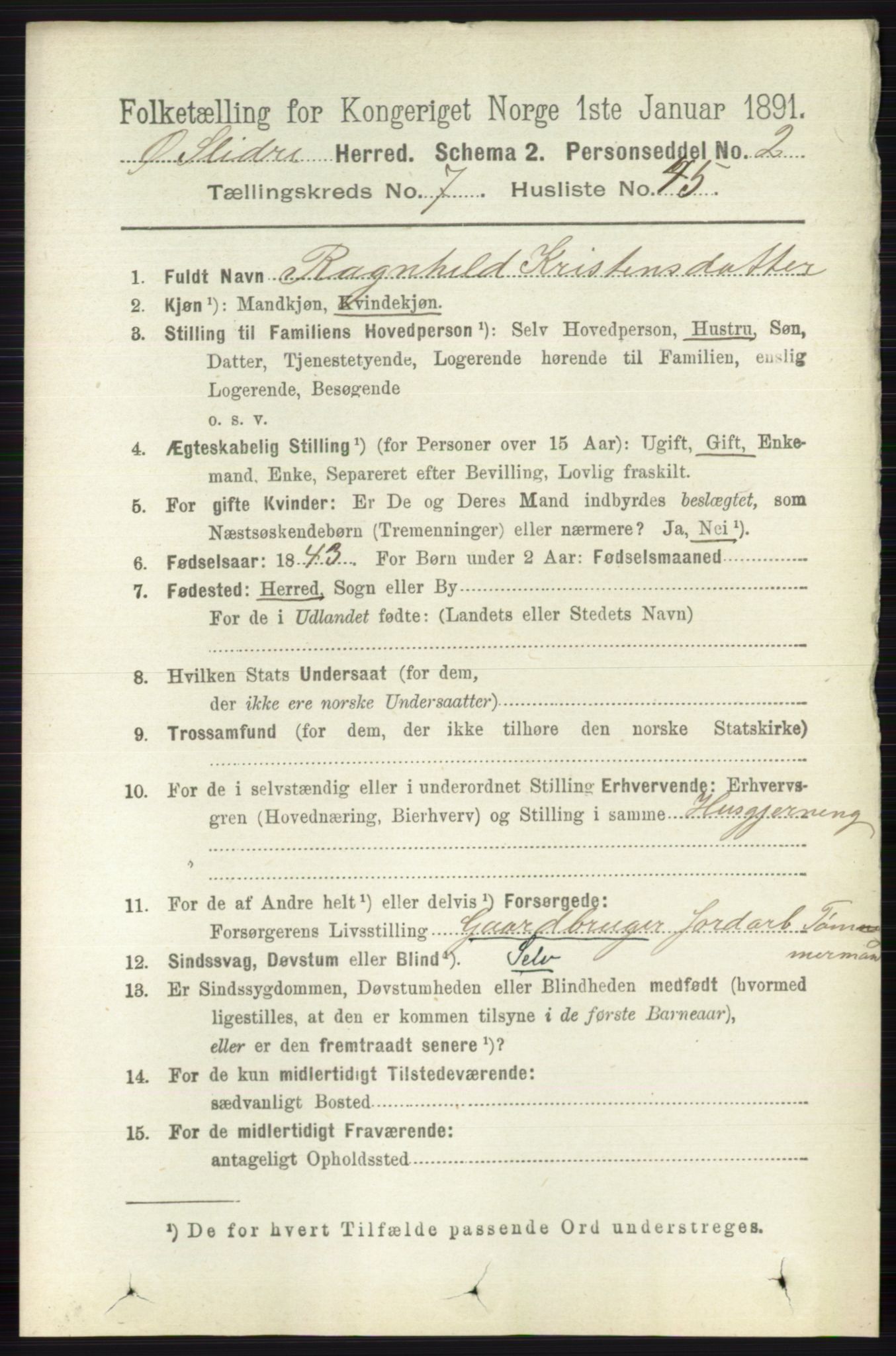 RA, 1891 census for 0544 Øystre Slidre, 1891, p. 2416