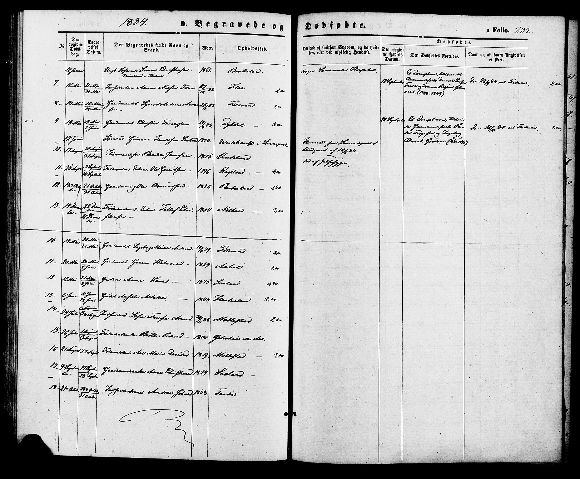 Birkenes sokneprestkontor, AV/SAK-1111-0004/F/Fa/L0004: Parish register (official) no. A 4, 1867-1886, p. 232