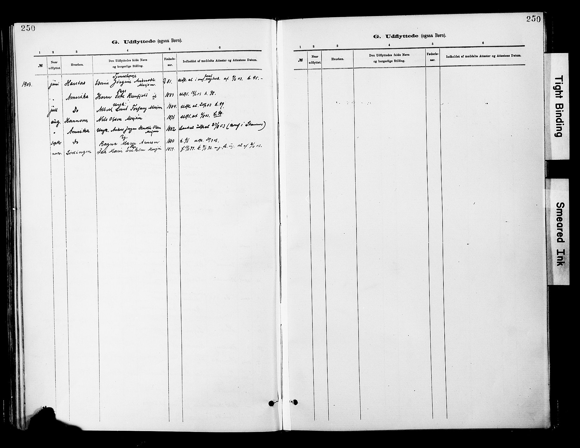 Ministerialprotokoller, klokkerbøker og fødselsregistre - Nordland, SAT/A-1459/820/L0296: Parish register (official) no. 820A17, 1880-1903, p. 250