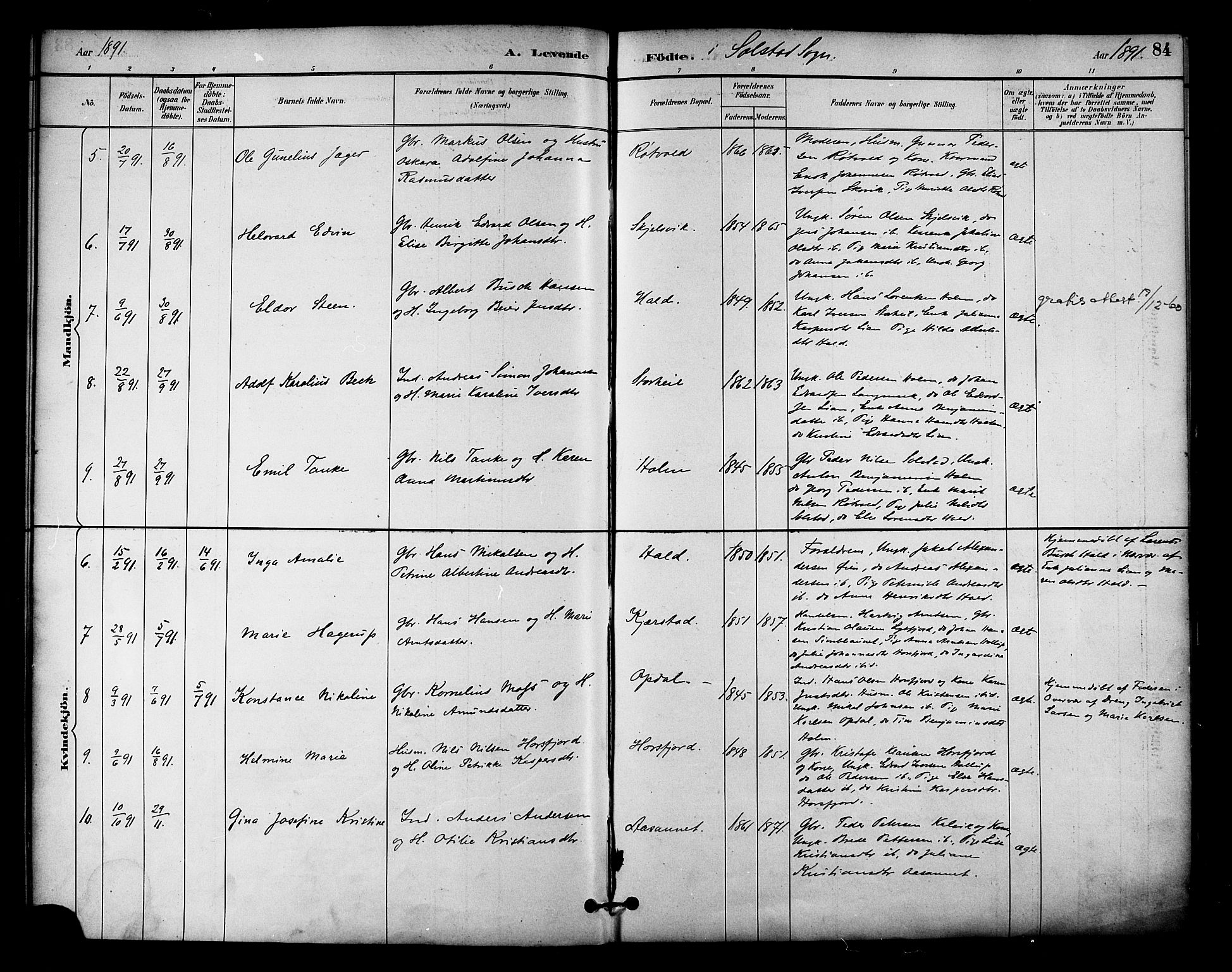 Ministerialprotokoller, klokkerbøker og fødselsregistre - Nordland, AV/SAT-A-1459/810/L0151: Parish register (official) no. 810A10 /2, 1885-1895, p. 84